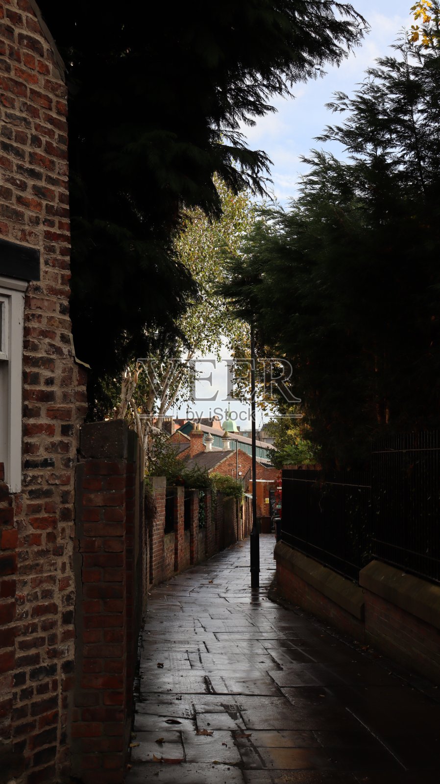 城市里潮湿的小路照片摄影图片