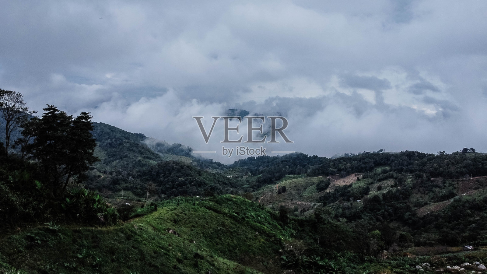 热带森林的鸟瞰图与雾在早晨。在泰国冬季，从无人机俯瞰美丽的热带森林。自然景观背景。照片摄影图片