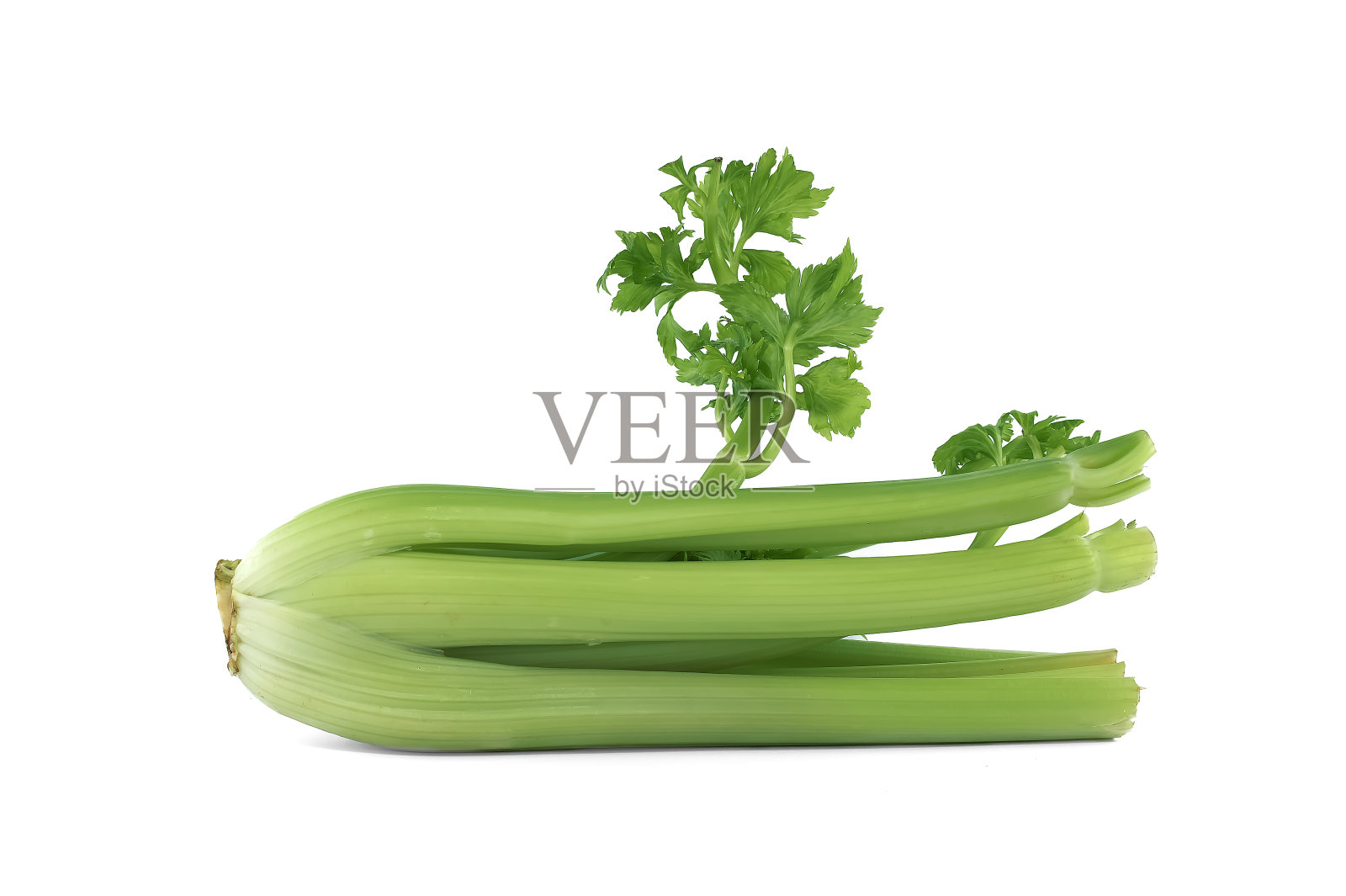 芹菜，叶子孤立在白色背景上照片摄影图片