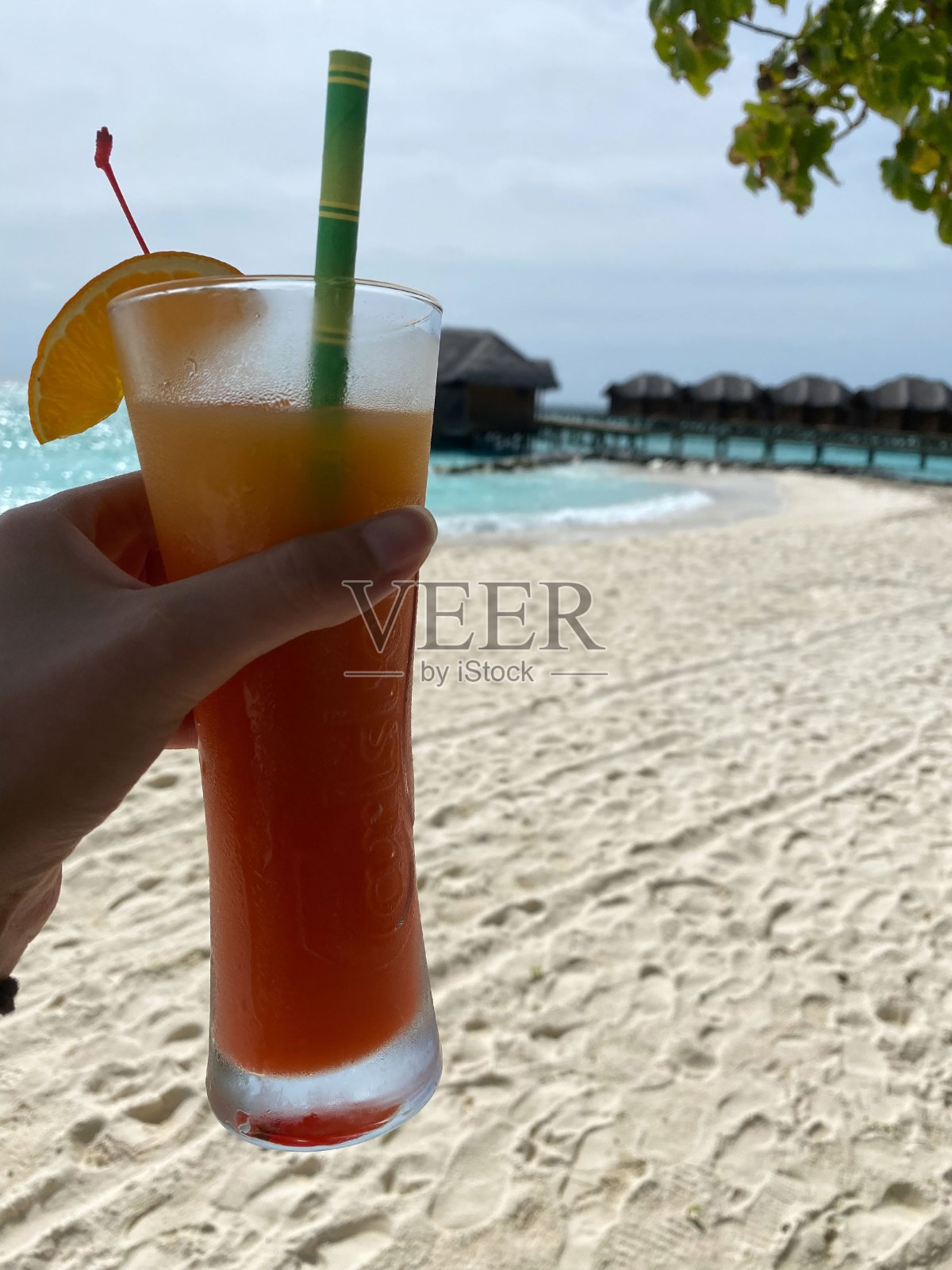 马尔代夫，大海，海滩，棕榈树照片摄影图片