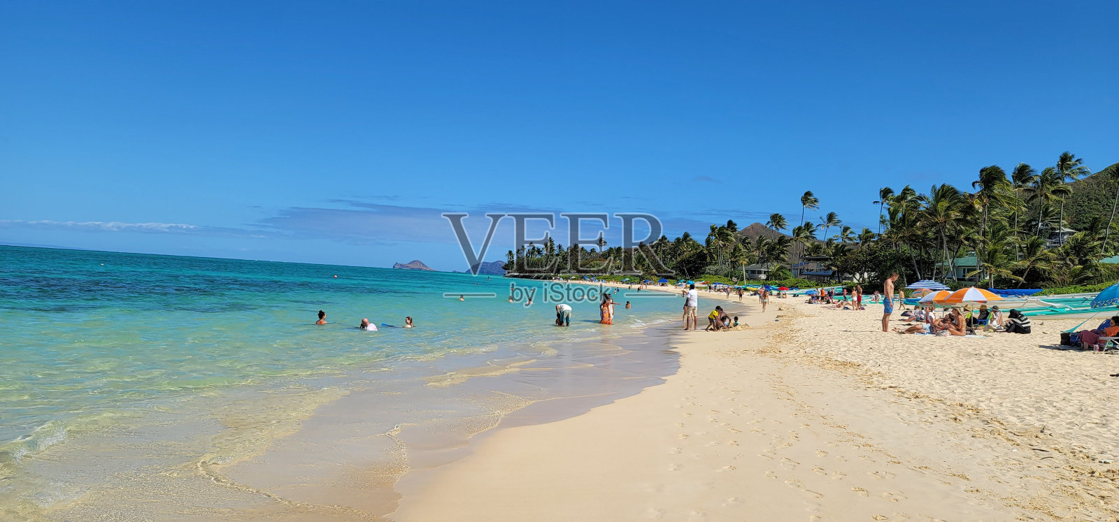 阳光明媚的拥挤海滩照片摄影图片