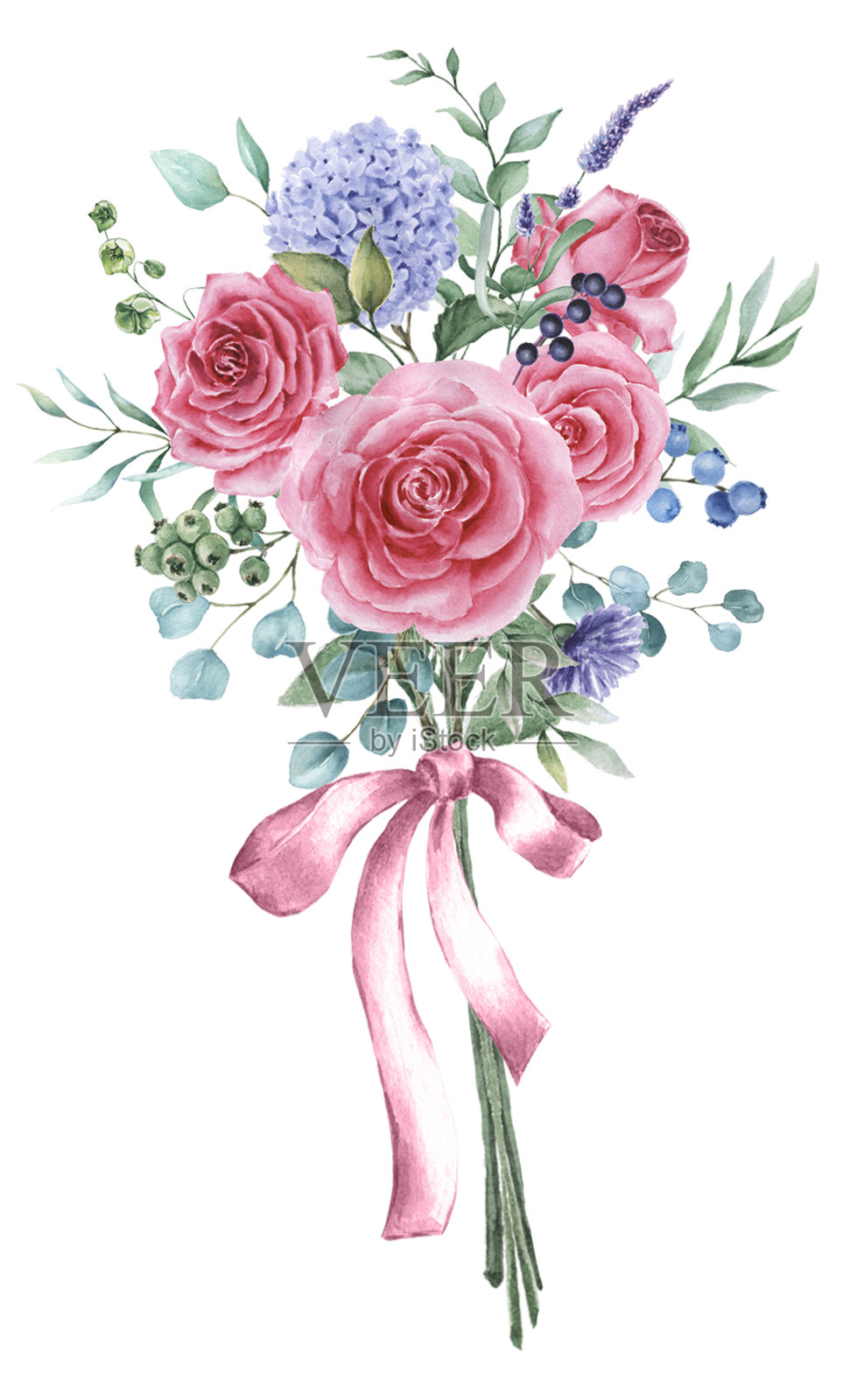 水彩玫瑰花束系缎带插画图片素材