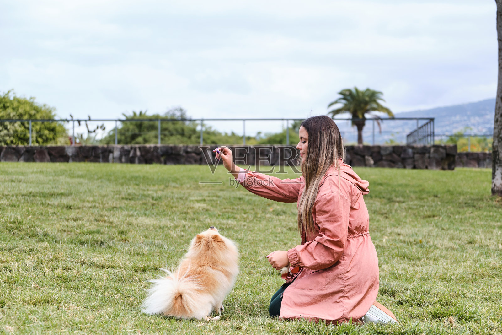 一个女孩在公园里训练她的波美拉尼亚狗。照片摄影图片