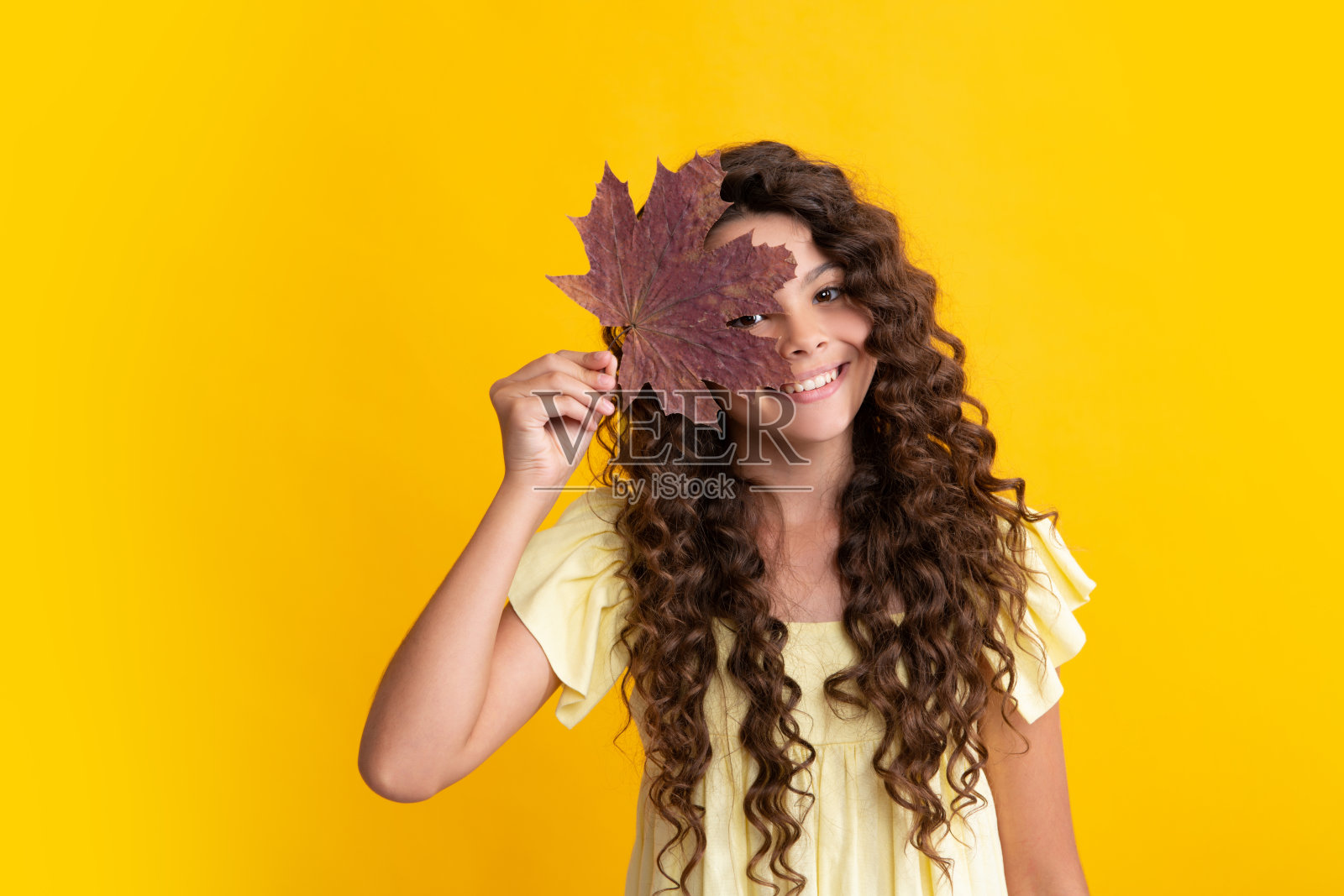 秋天的心情。秋叶里的童女。少年女孩与橡树和枫叶孤立的黄色背景。快乐的少年，少女的积极和微笑的情绪。照片摄影图片