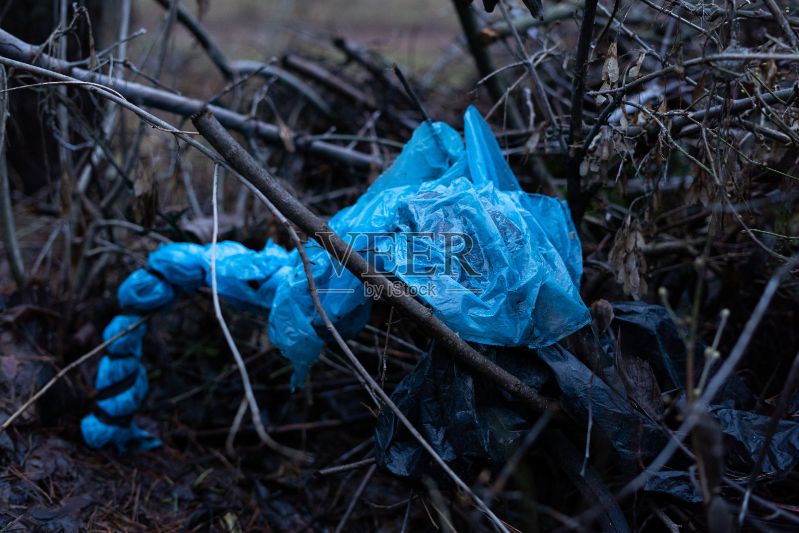蓝色的保鲜膜被丢弃在森林的树枝上照片摄影图片