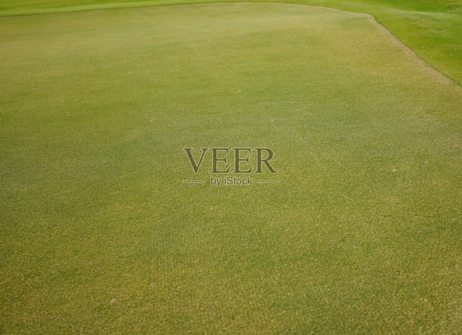 新鲜的绿色草坪高尔夫球场照片摄影图片
