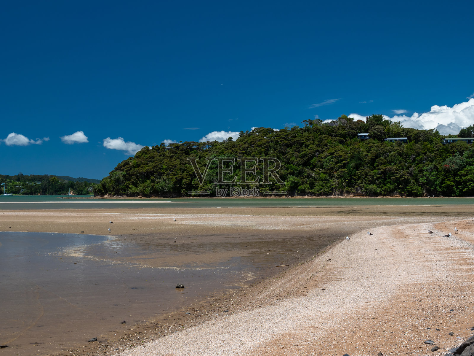 新西兰群岛湾海岸线照片摄影图片