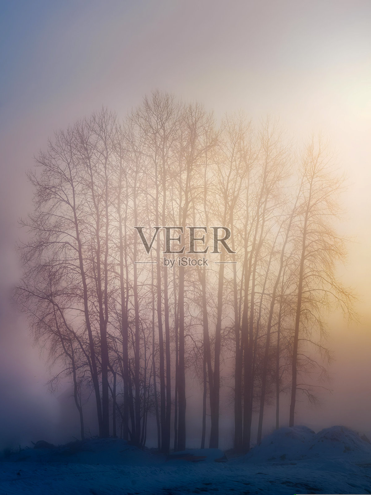 札幌人寿-02照片摄影图片