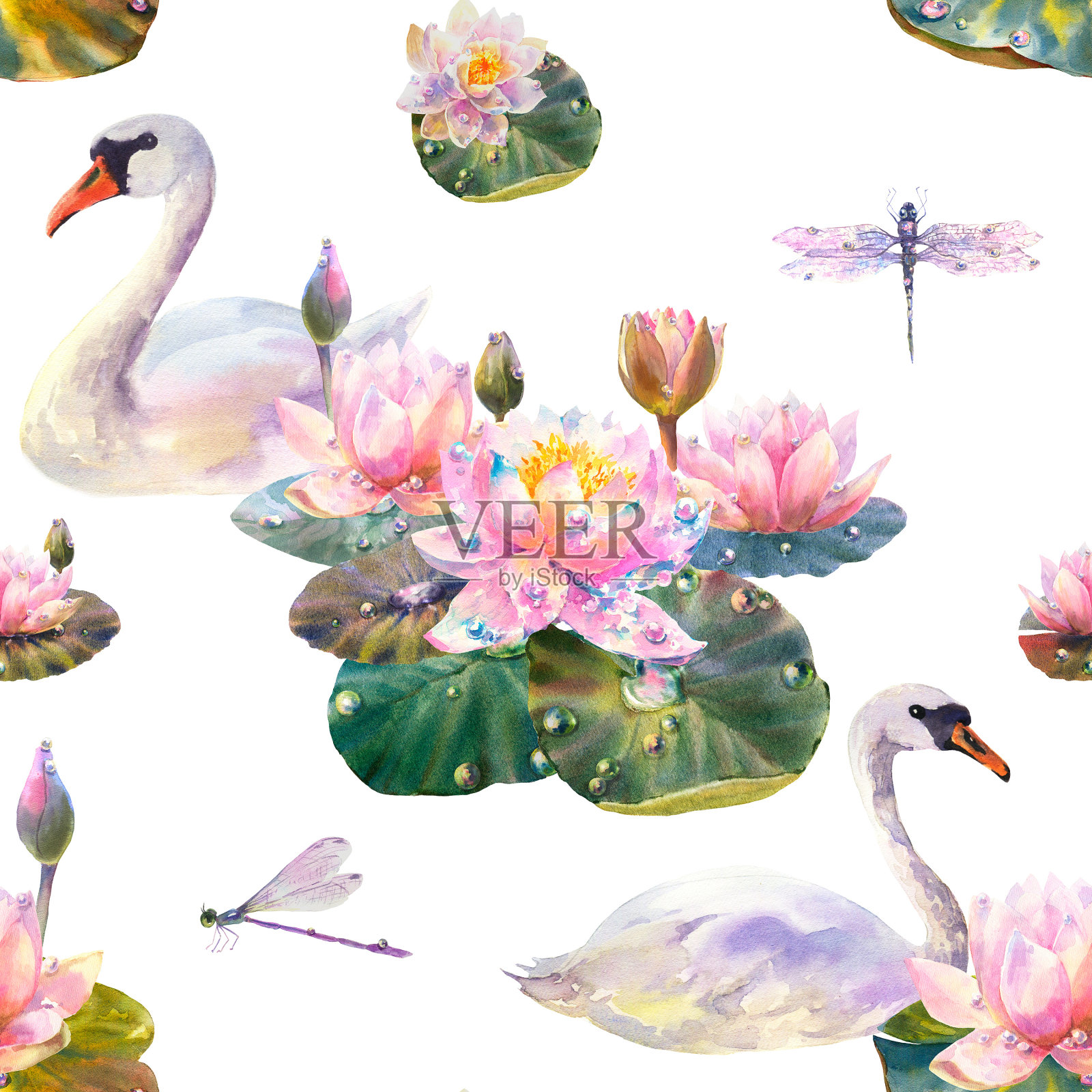 水彩无缝图案与优雅的天鹅，美丽的睡莲和蜻蜓在白色的背景。插画图片素材