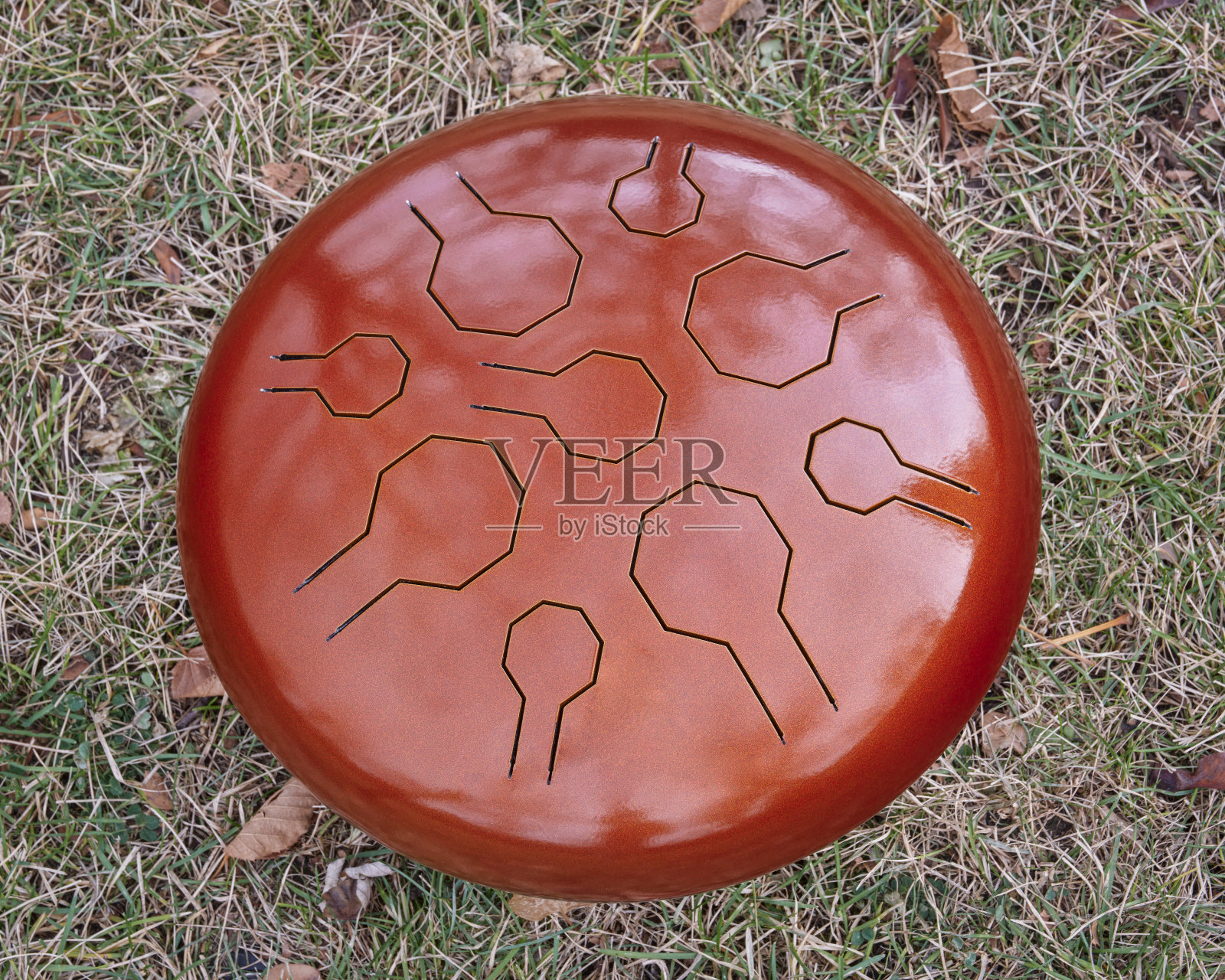 红钢舌鼓照片摄影图片