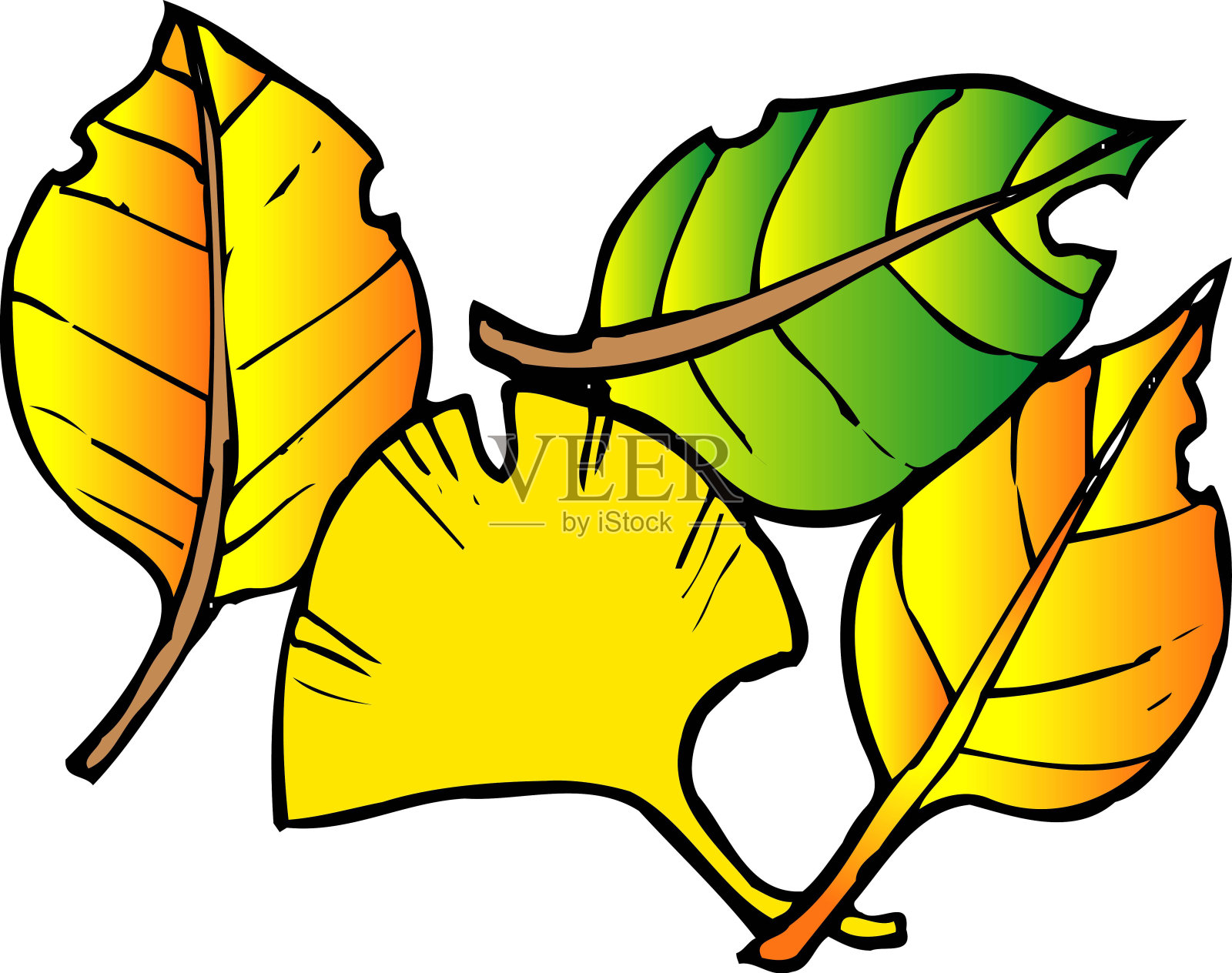 落叶插画图片素材