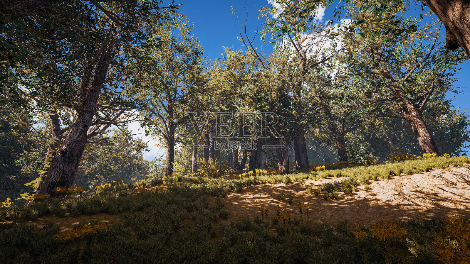 自然森林景观与元宇宙技术。三维渲染照片摄影图片