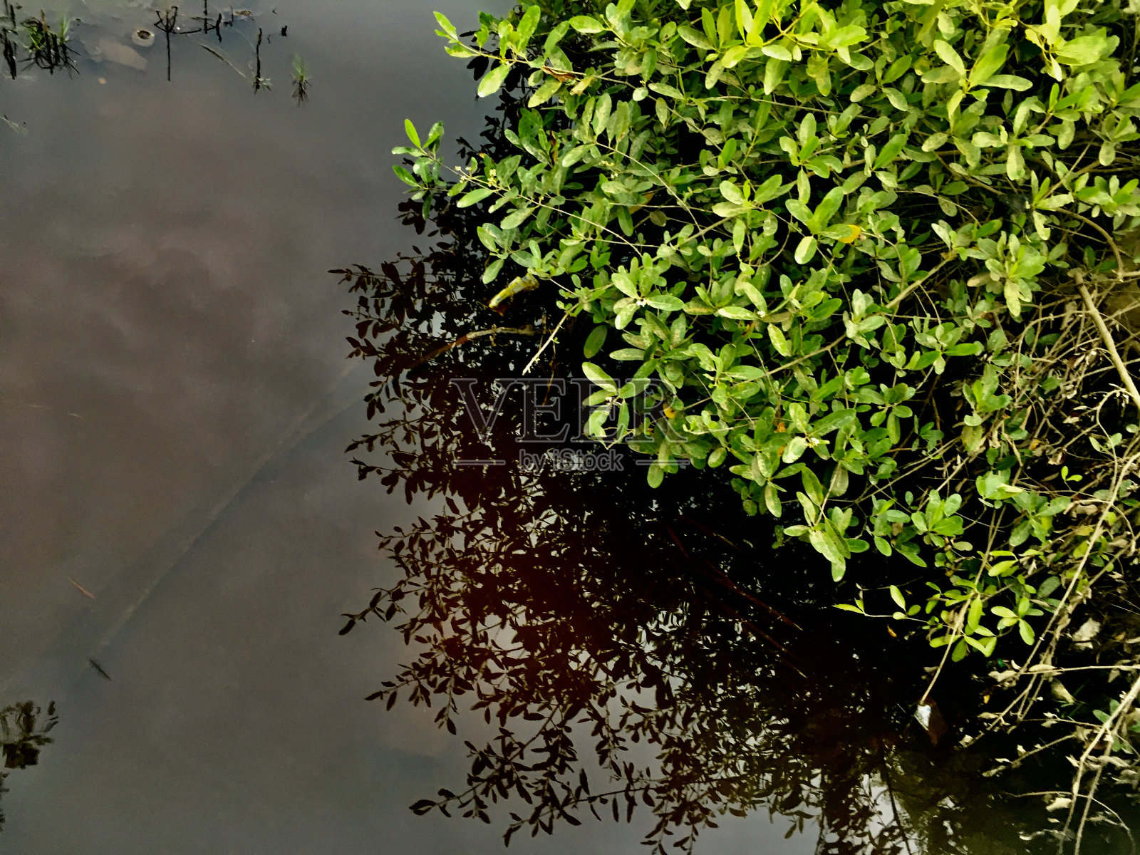 最后的颜色照片摄影图片