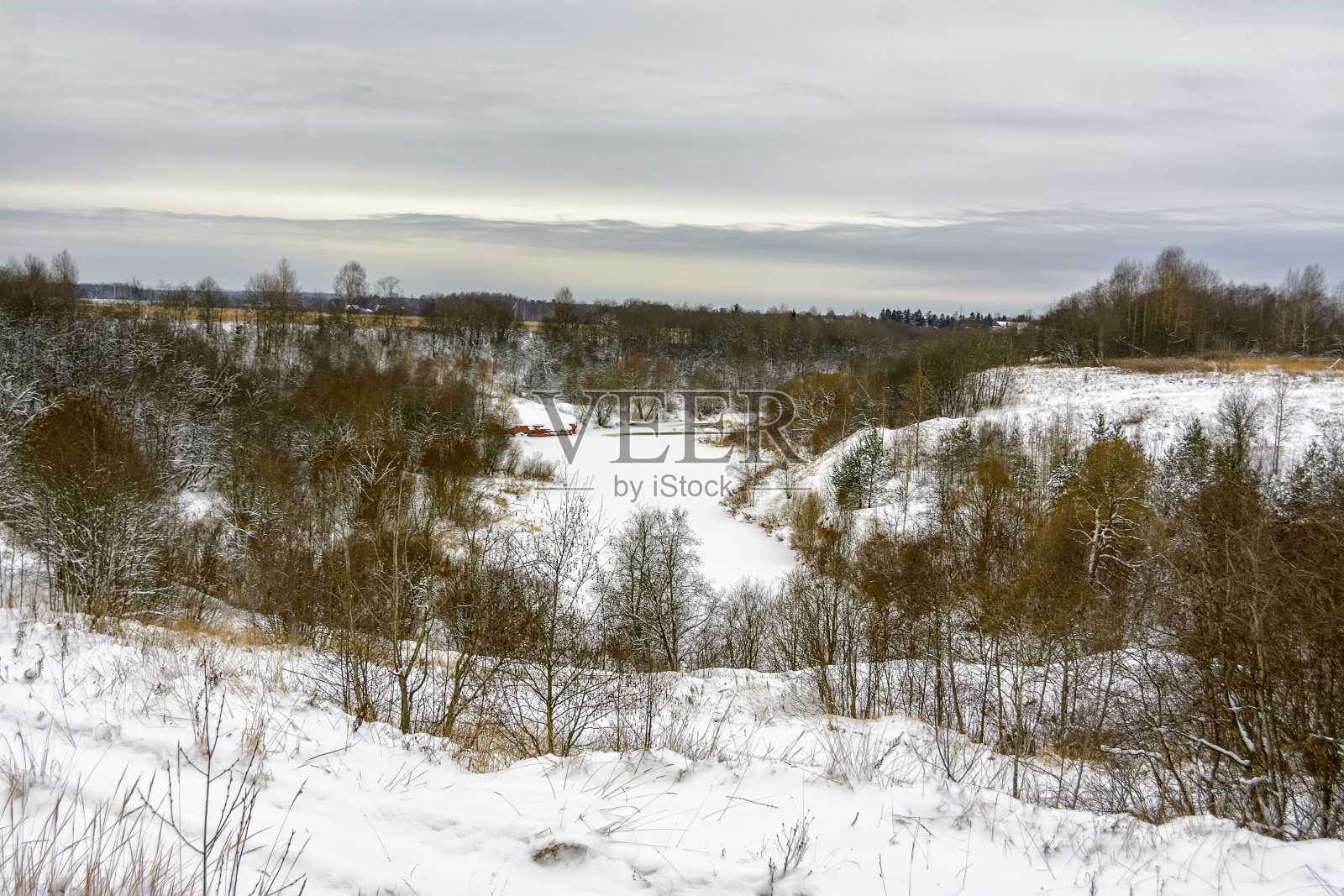 列宁格勒地区积雪覆盖的12月森林。照片摄影图片