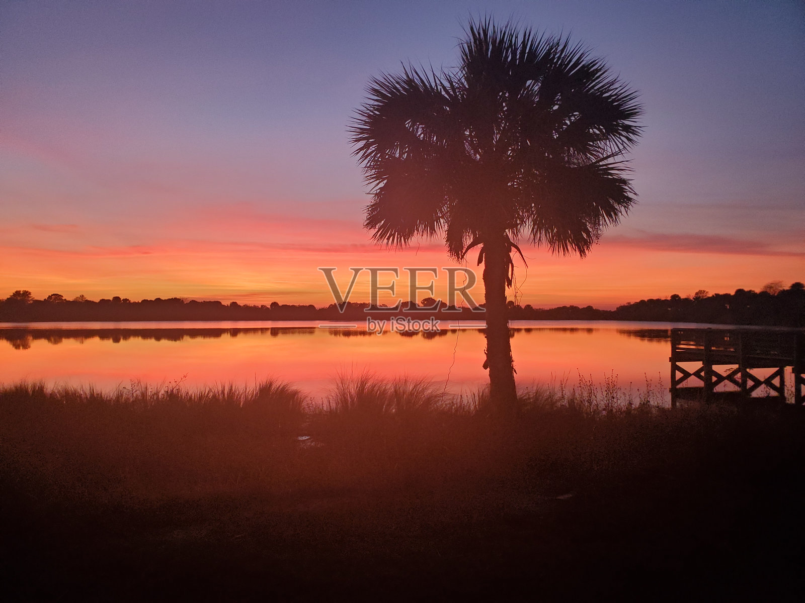 佛罗里达湖日落照片摄影图片