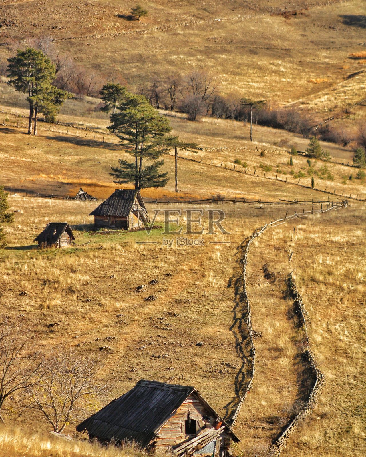 垂直拍摄的乡村干燥田野上的老木屋照片摄影图片