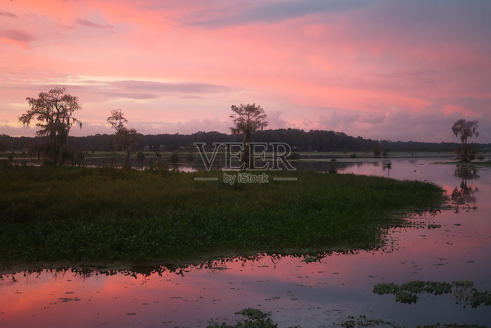 日出在维斯拉库奇河-佛罗里达照片摄影图片
