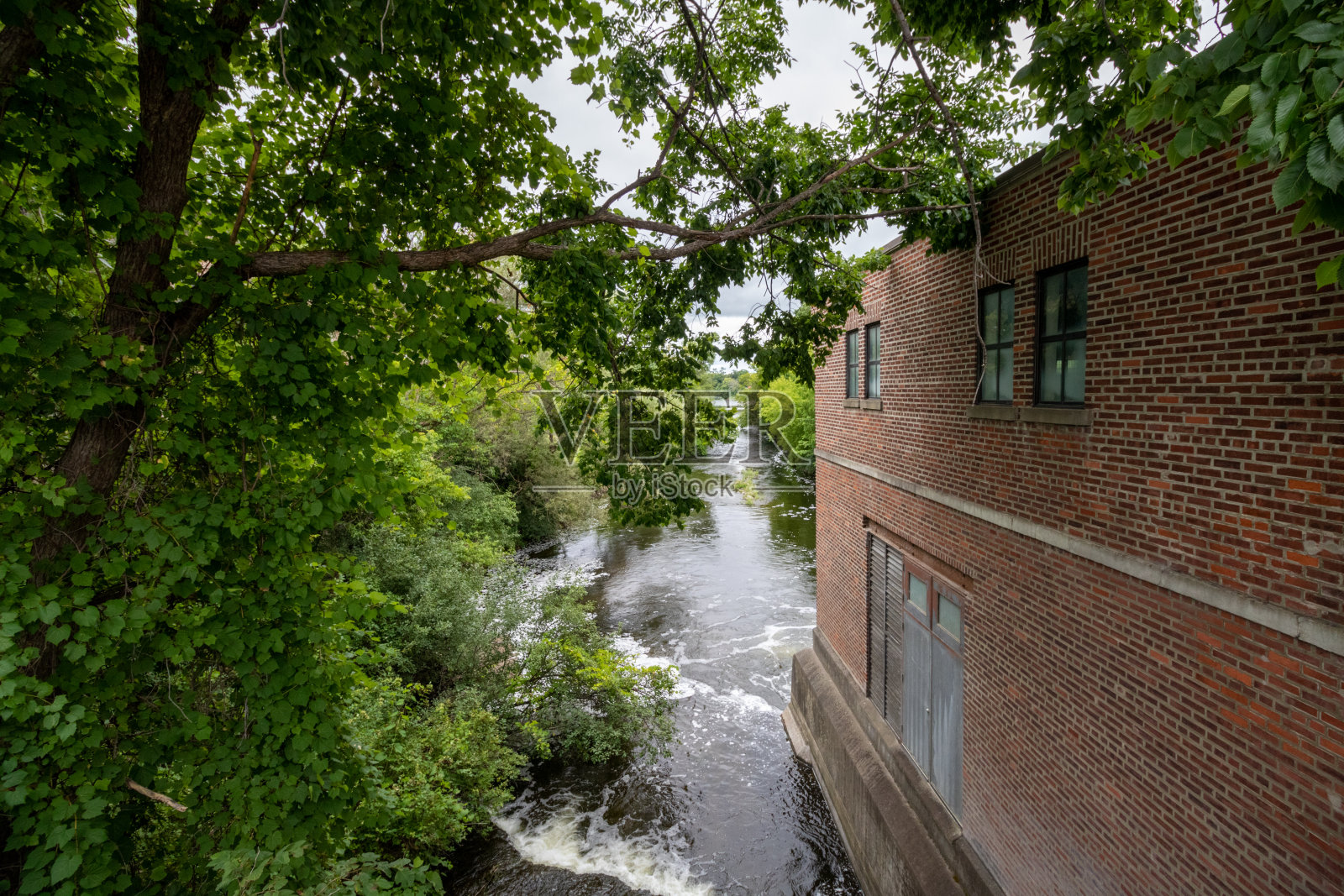 树林里河边的一座老建筑照片摄影图片