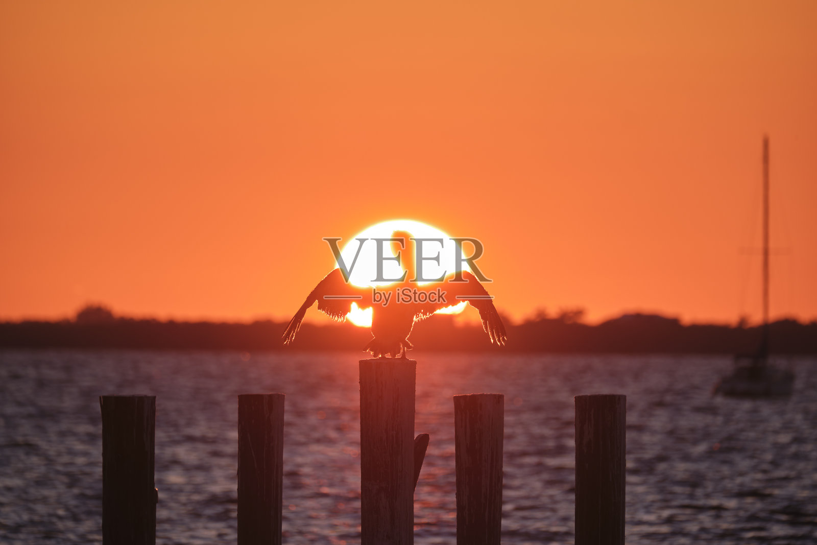 孤独的鹈鹕鸟Silhuette与展开翅膀在木制围栏杆顶明亮的橙色日落天空湖水和大斜阳照片摄影图片