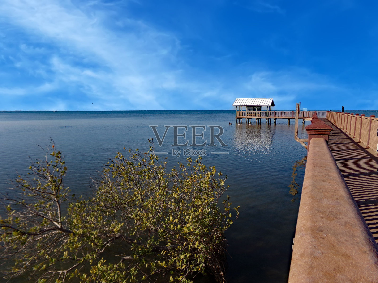 蓝天下的海港鸟瞰图照片摄影图片