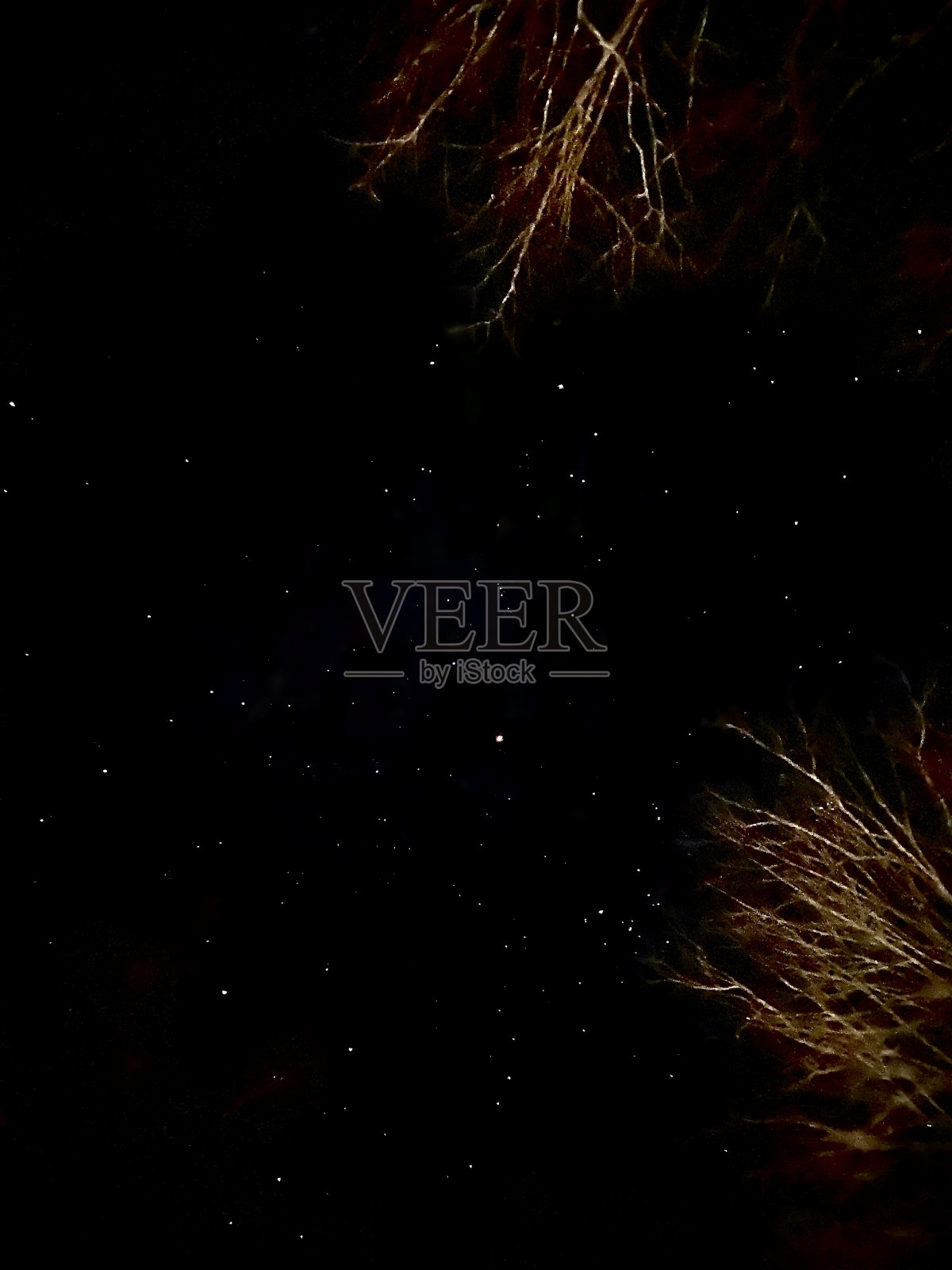 星空(分界)照片摄影图片