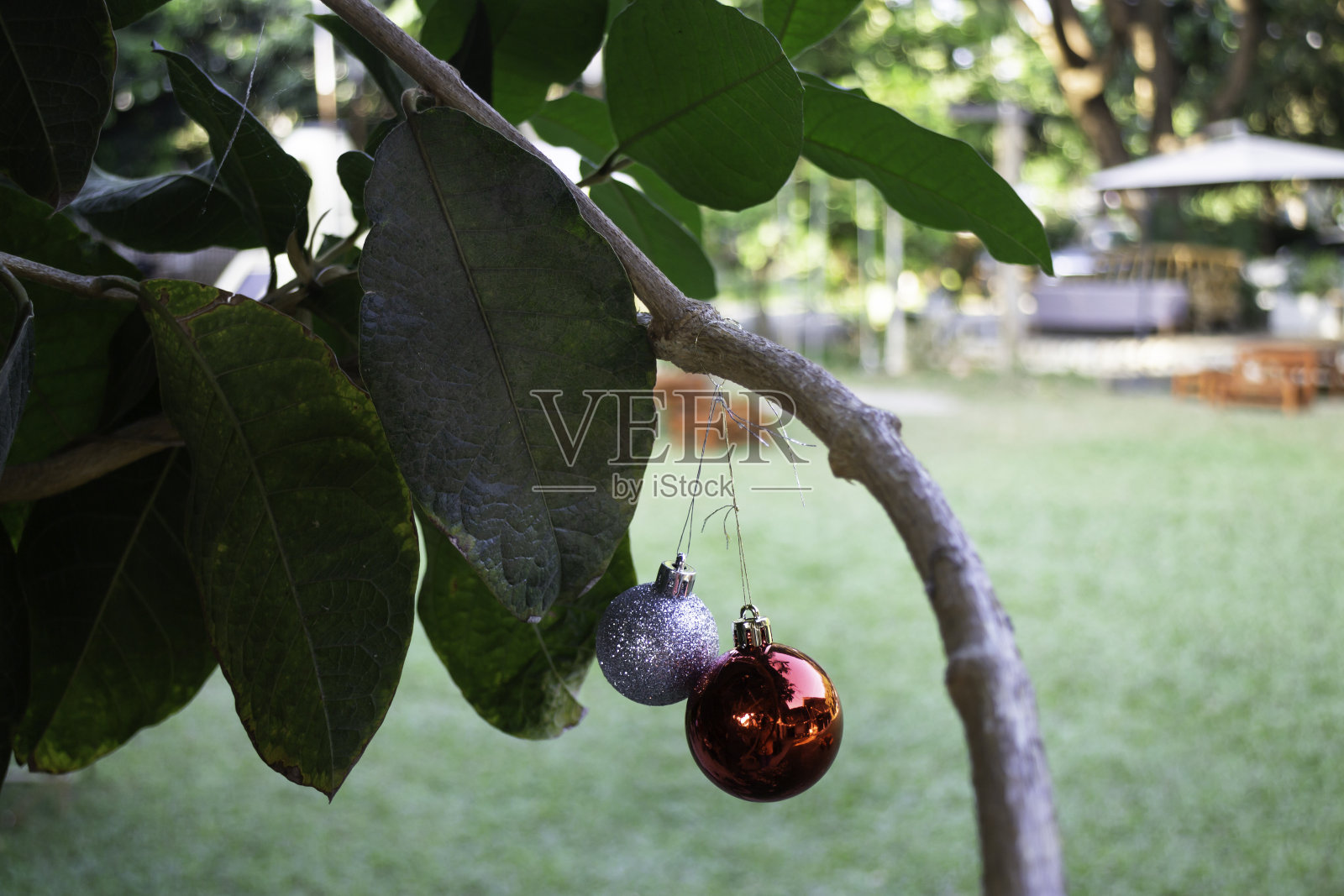 圣诞树上的圣诞和新年装饰品照片摄影图片