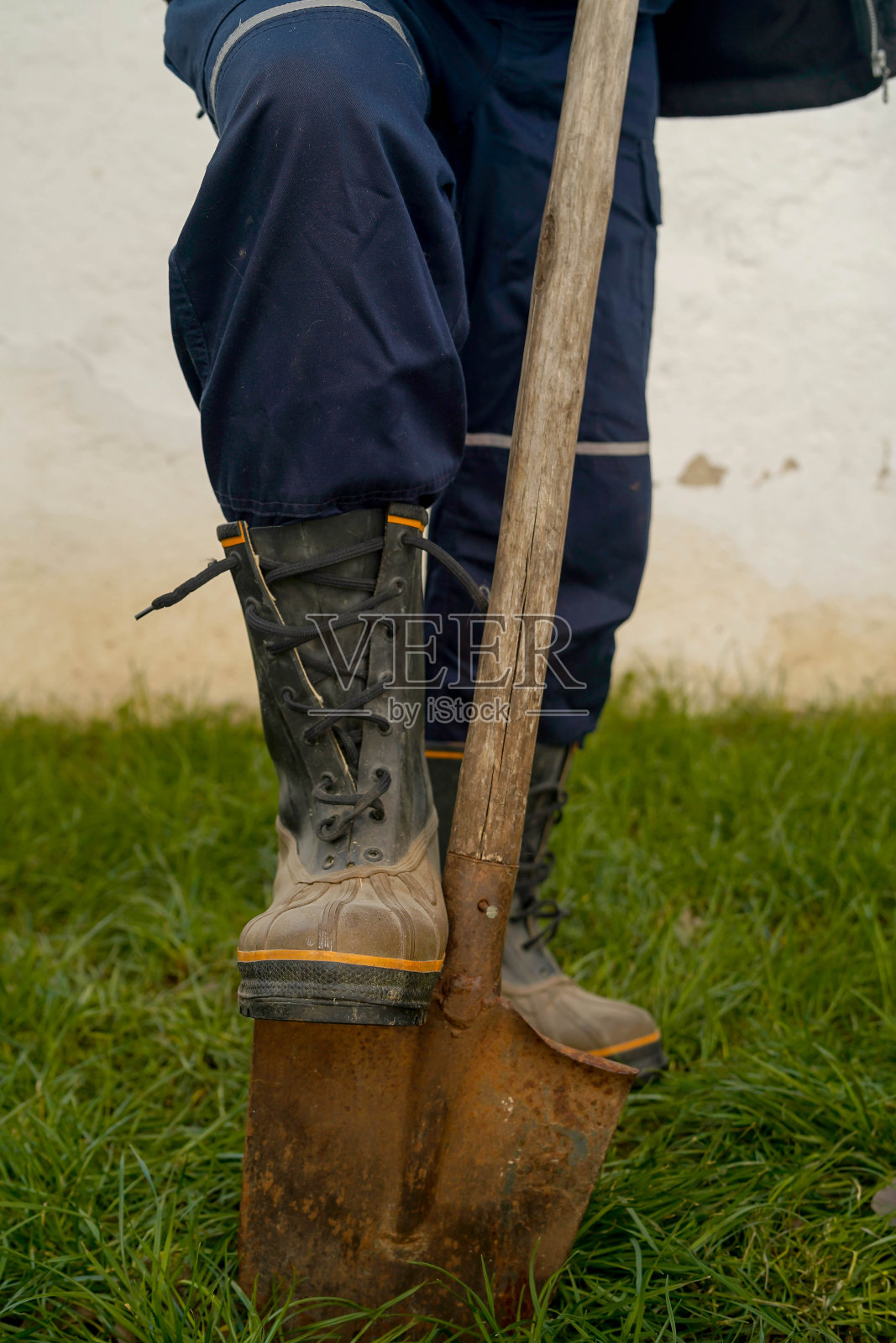 成熟的男人在后院里种了一棵树照片摄影图片