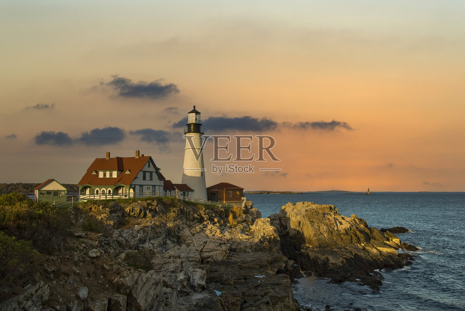 波特兰的头照片摄影图片