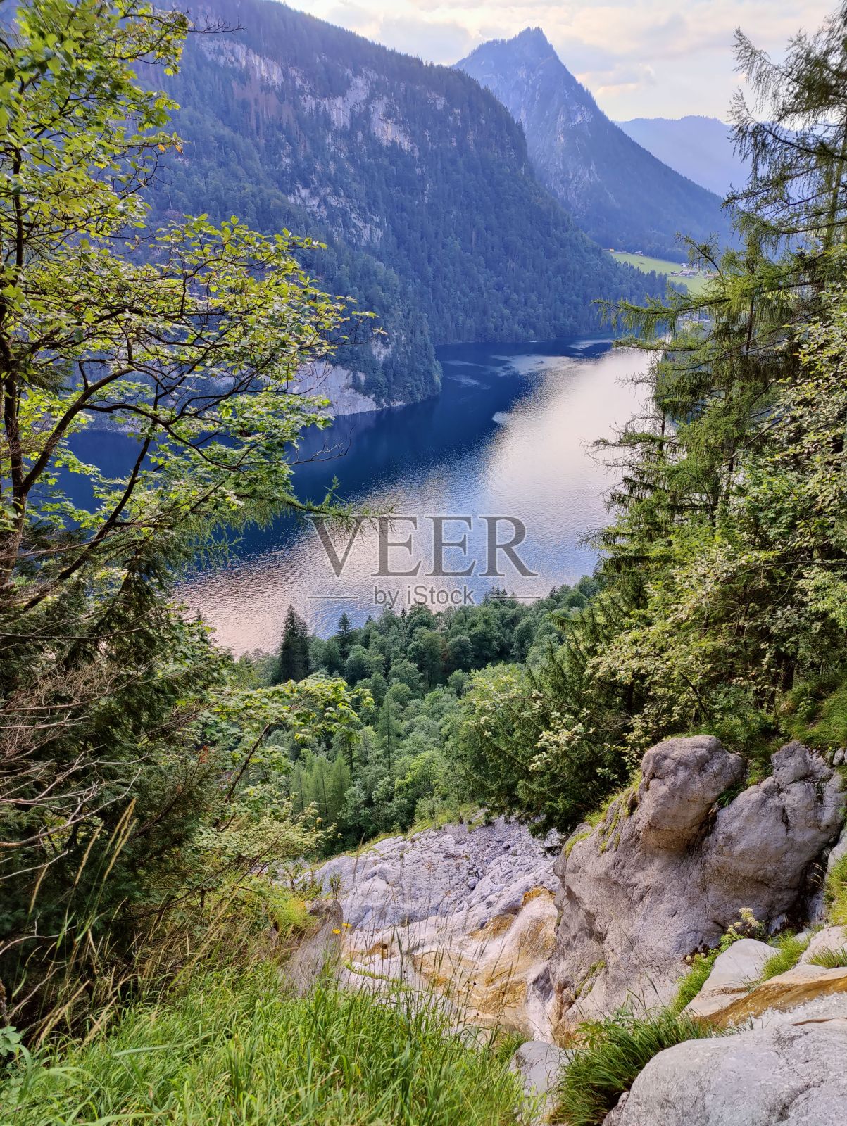 白天在绿色森林中垂直拍摄的湖泊照片摄影图片