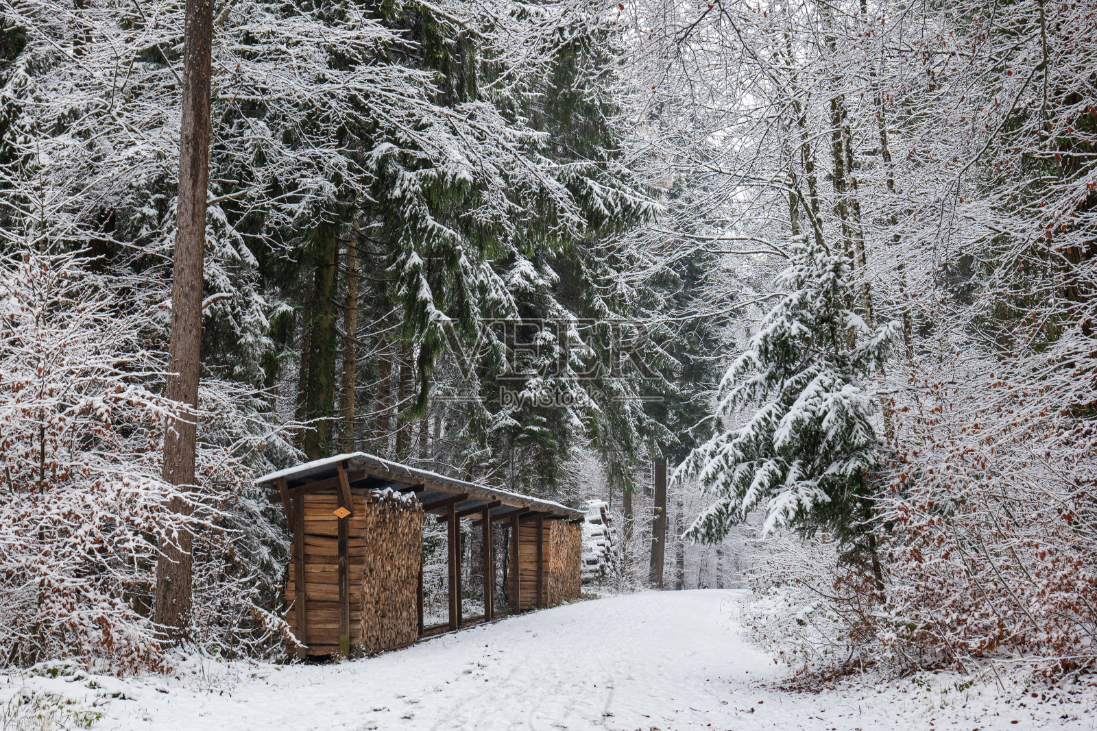 欧洲，瑞士，积雪覆盖的森林里，堆放在人行道上的木柴。一个多云的冬天，没有人照片摄影图片