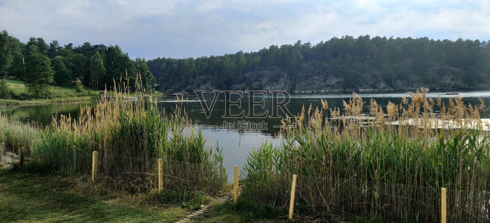 落叶林环绕的湖泊全景照片摄影图片