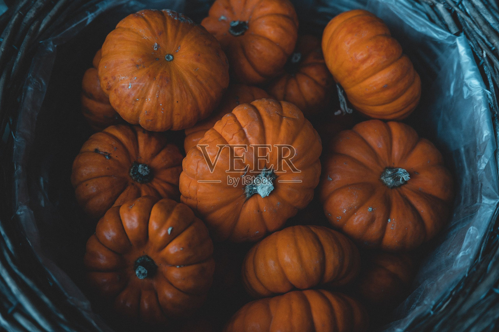 橙色的南瓜在篮子里照片摄影图片