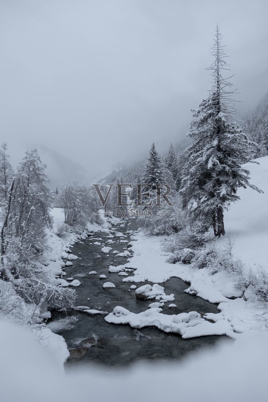 垂直拍摄的河流被白雪覆盖的树木包围。照片摄影图片