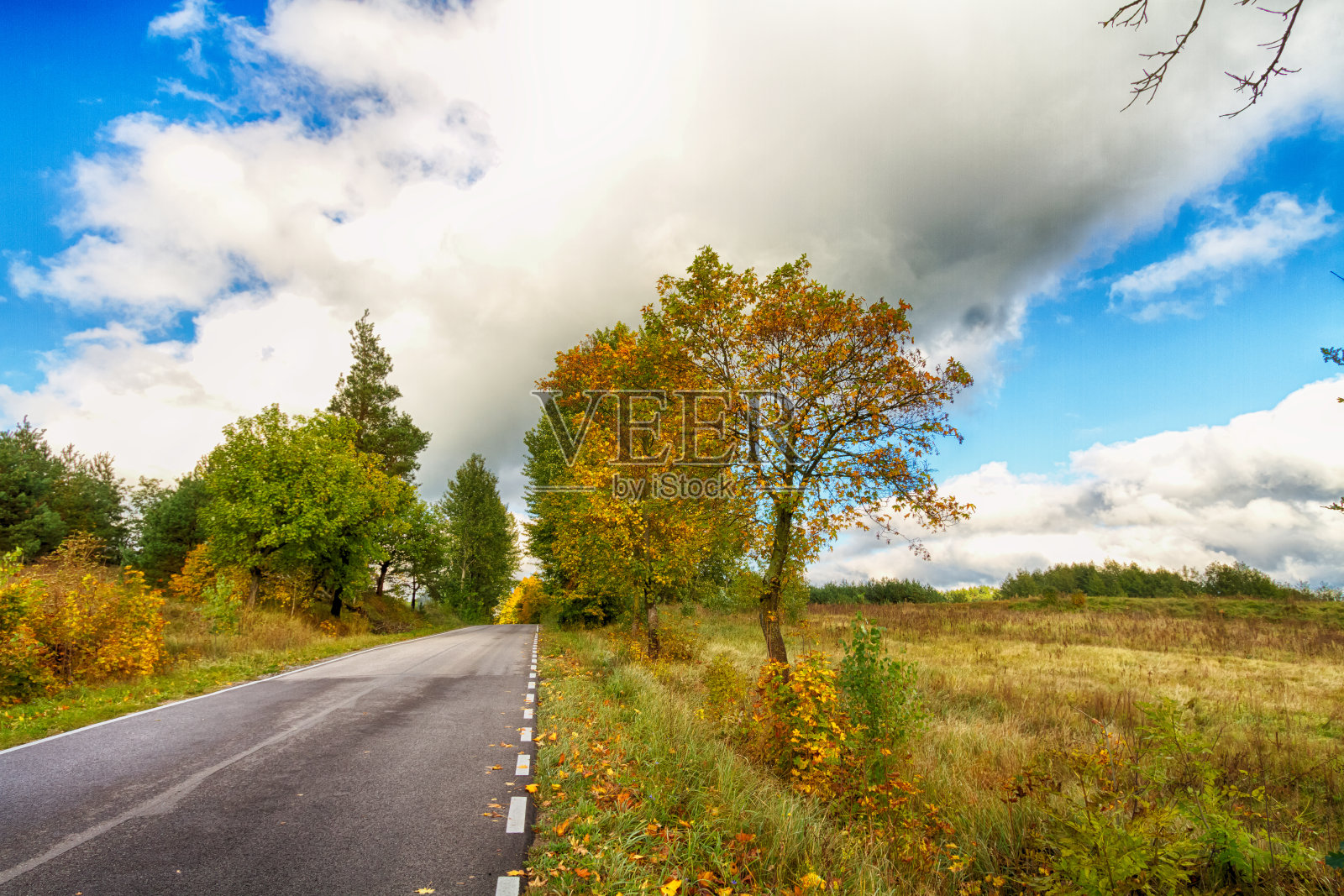 风景秋天有五颜六色的树木，秋天波兰，欧洲和惊人的蓝天与云，晴天照片摄影图片