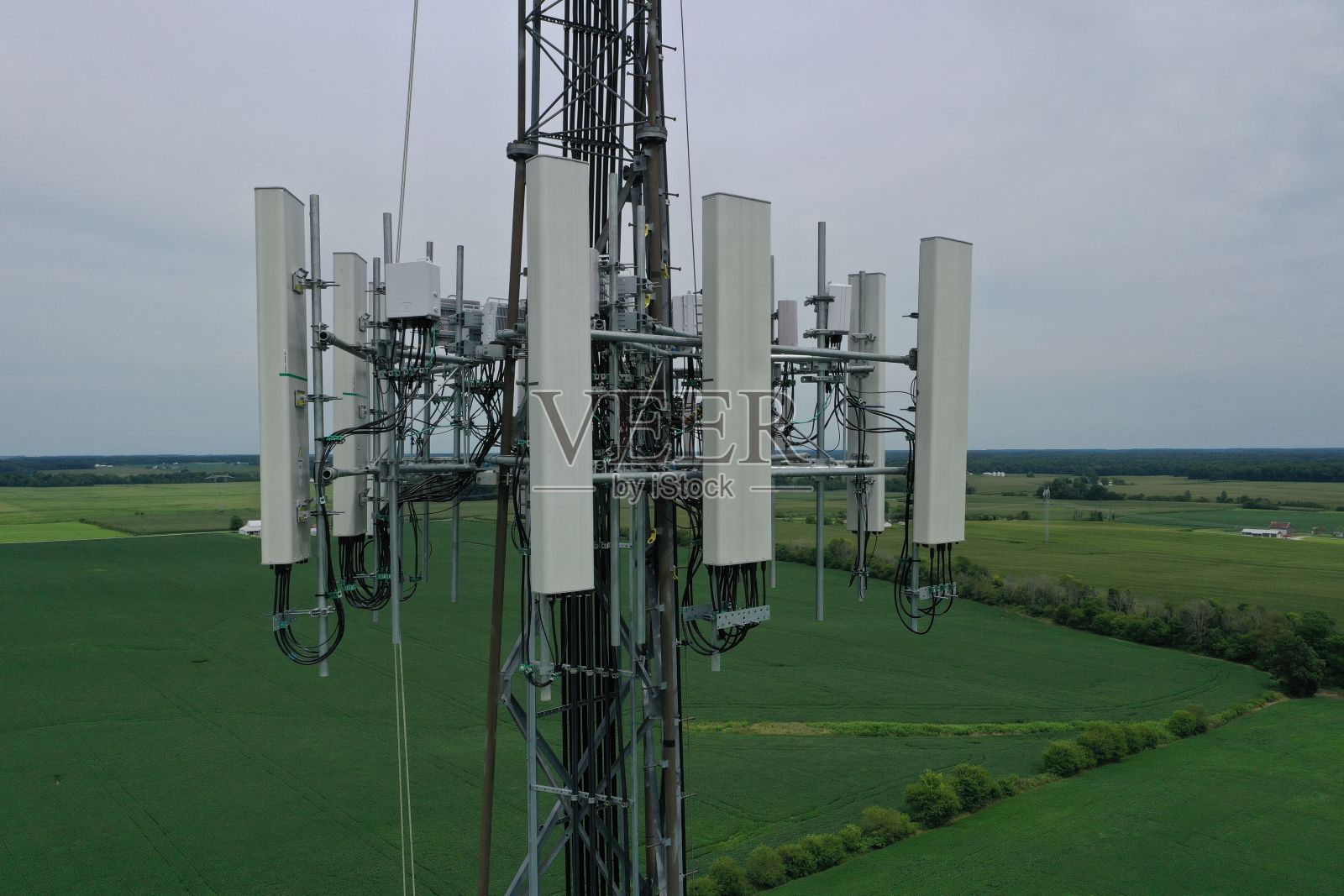 绿色区域的信号塔特写镜头照片摄影图片