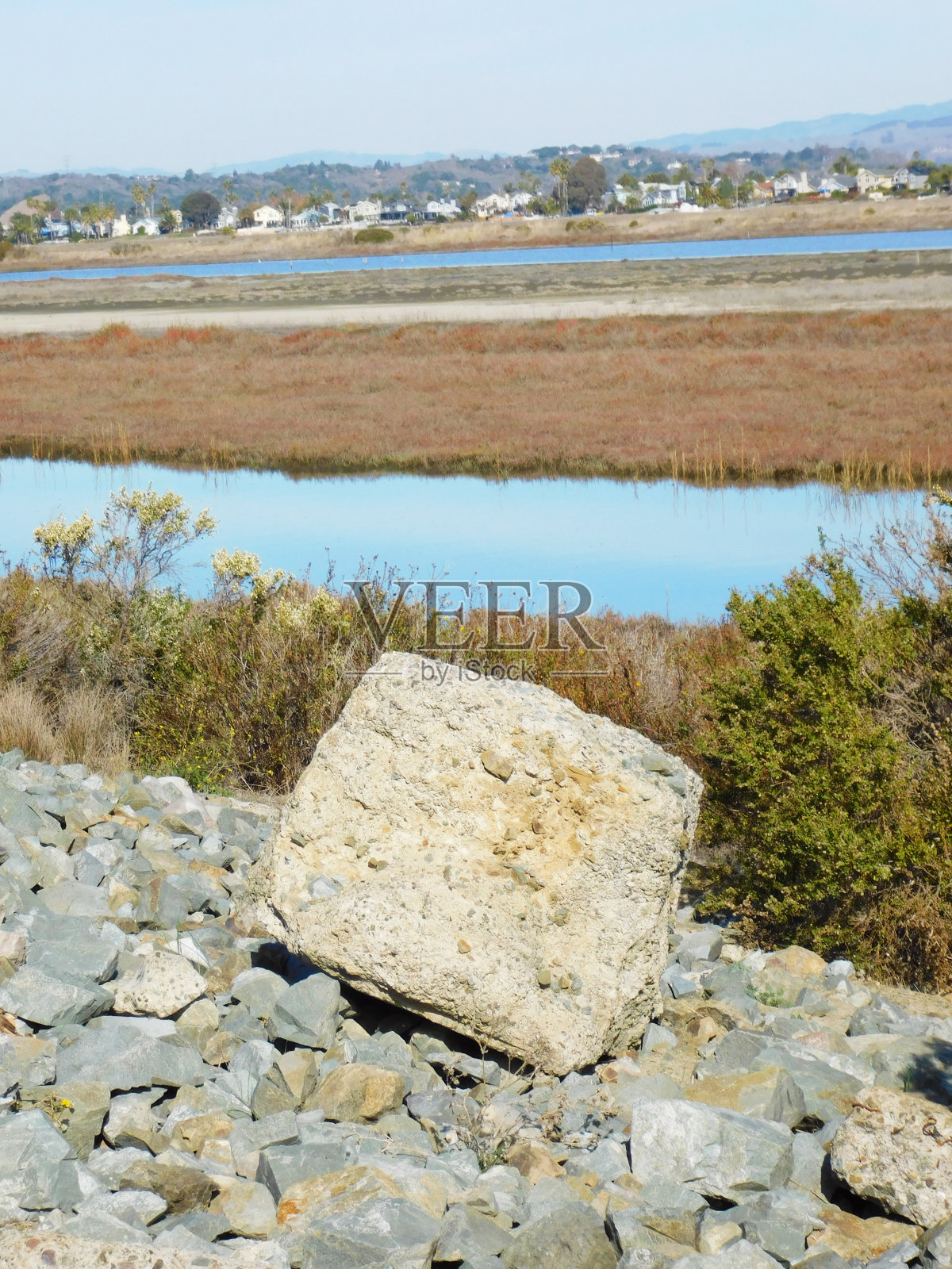 Novato湿地6照片摄影图片