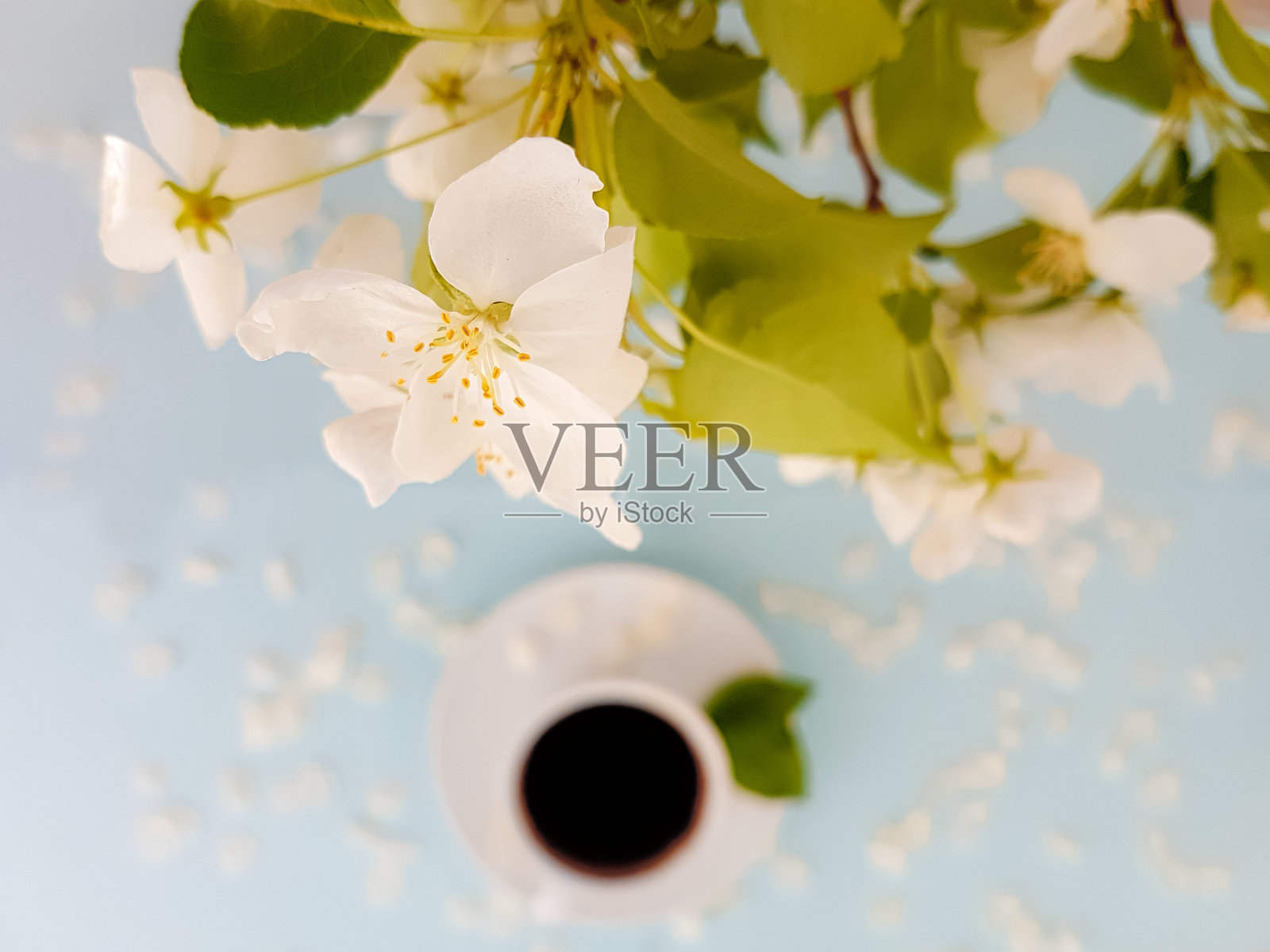 一杯咖啡，背景是苹果树开花的树枝。照片摄影图片