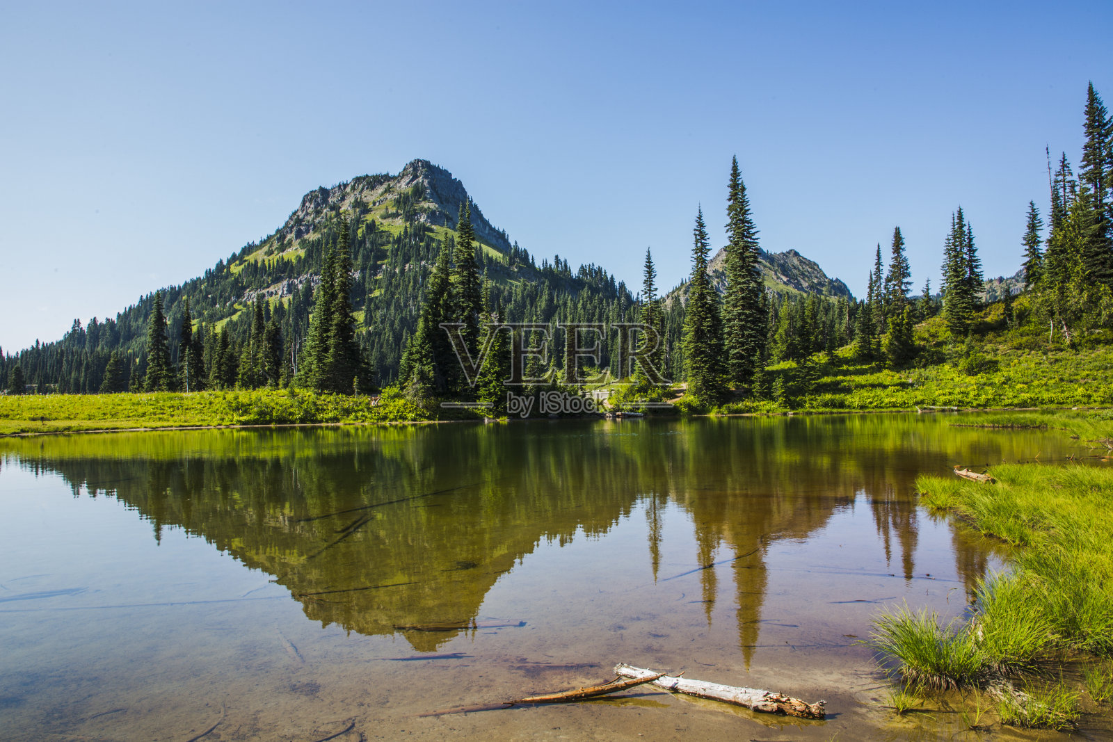 夏天雷尼尔山的美丽风景照片摄影图片