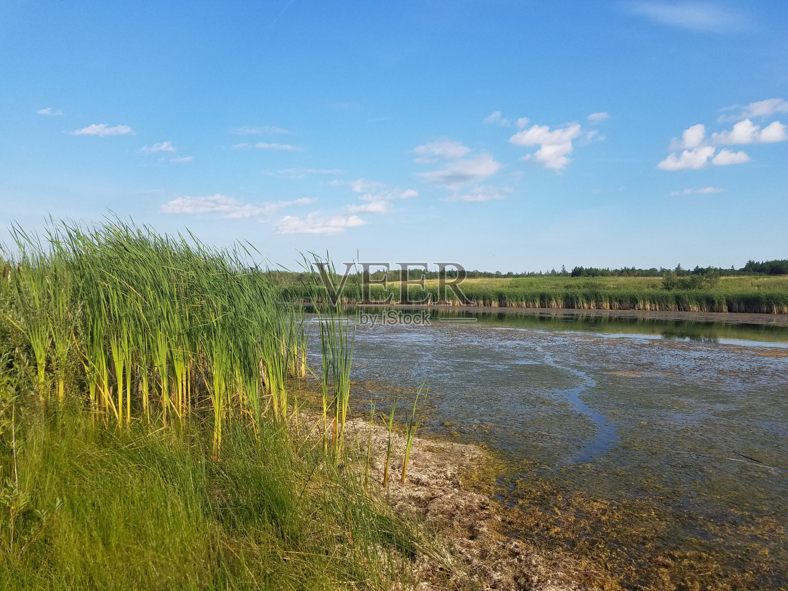 翠鱼湖-鸟山公园照片摄影图片