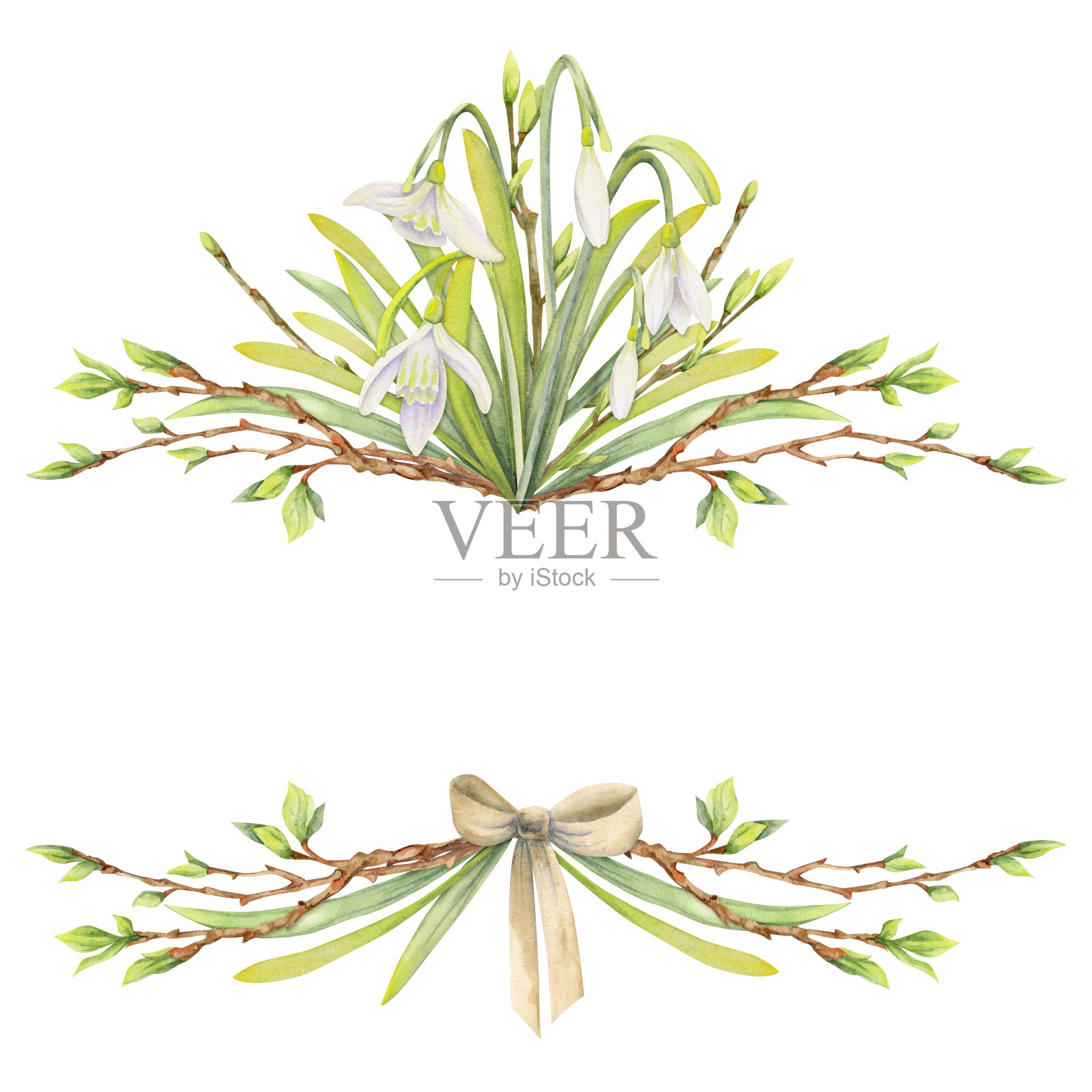 水彩手绘构图与春天的花朵，雪花莲，叶子和茎，弓，礼物标签。孤立在白色背景上。用于请柬，婚礼，贺卡，壁纸，印花，纺织品。插画图片素材