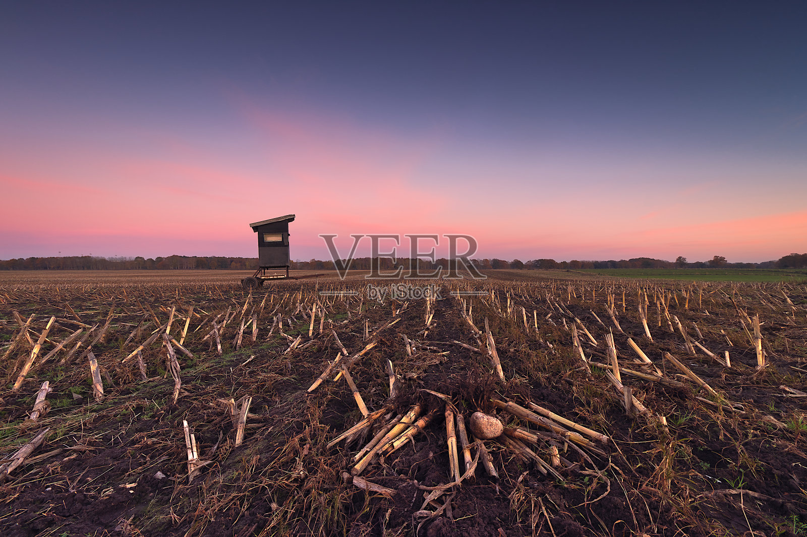 收获已经结束照片摄影图片