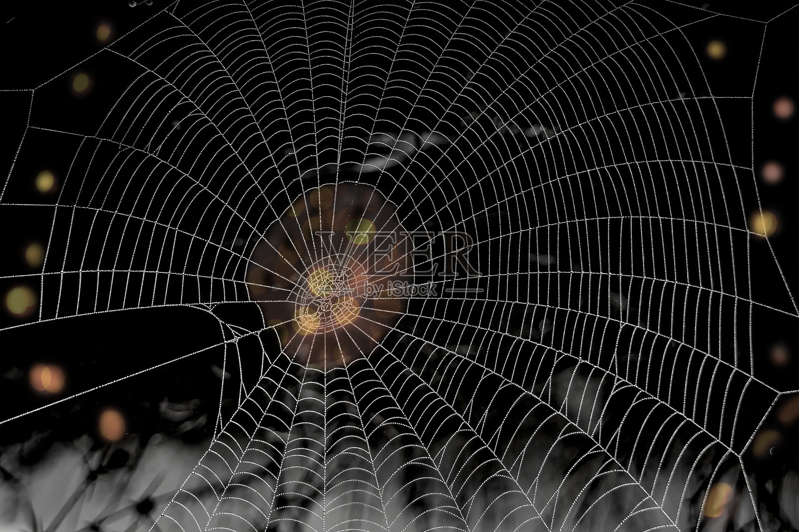 美丽的蜘蛛网有着奇妙的建筑和创意的设计照片摄影图片