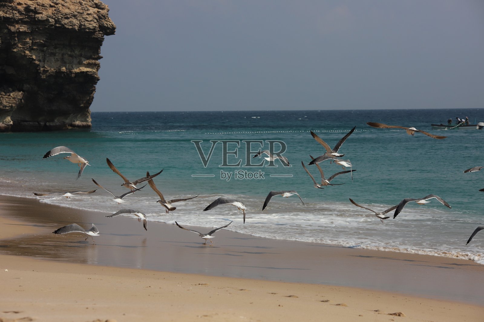 阿曼的海滩照片摄影图片