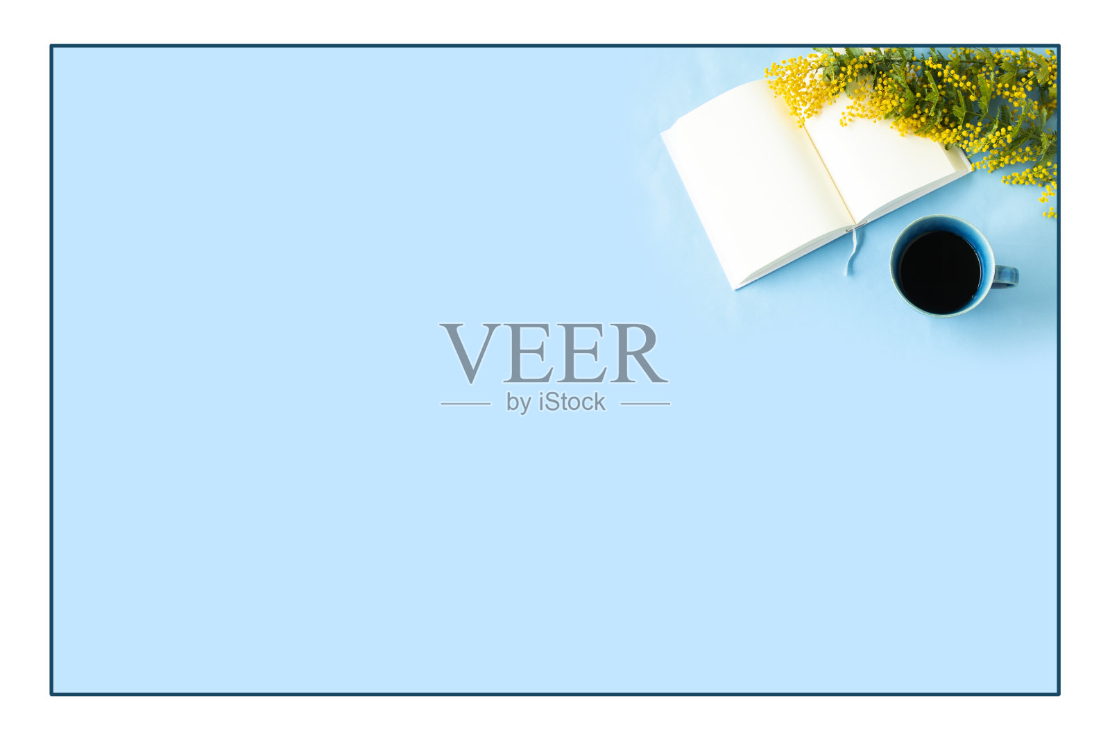 含羞草，咖啡和打开的书照片摄影图片