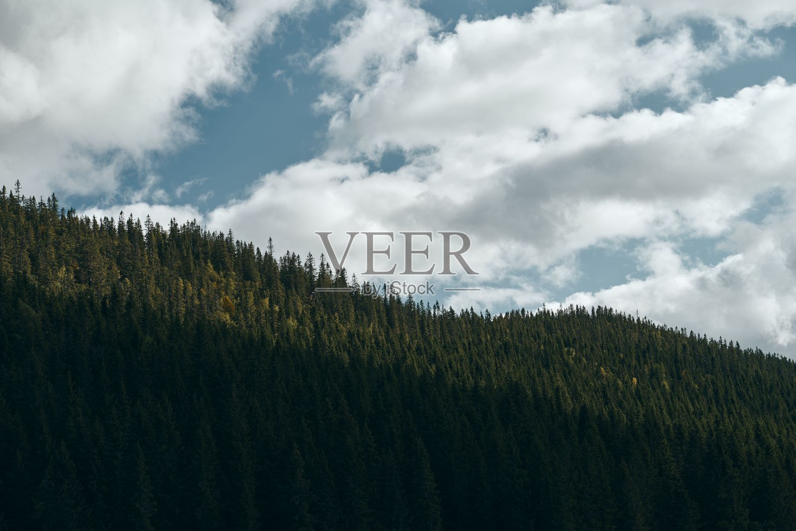 挪威奥普兰的托特纳森山附近的美丽自然风光照片摄影图片