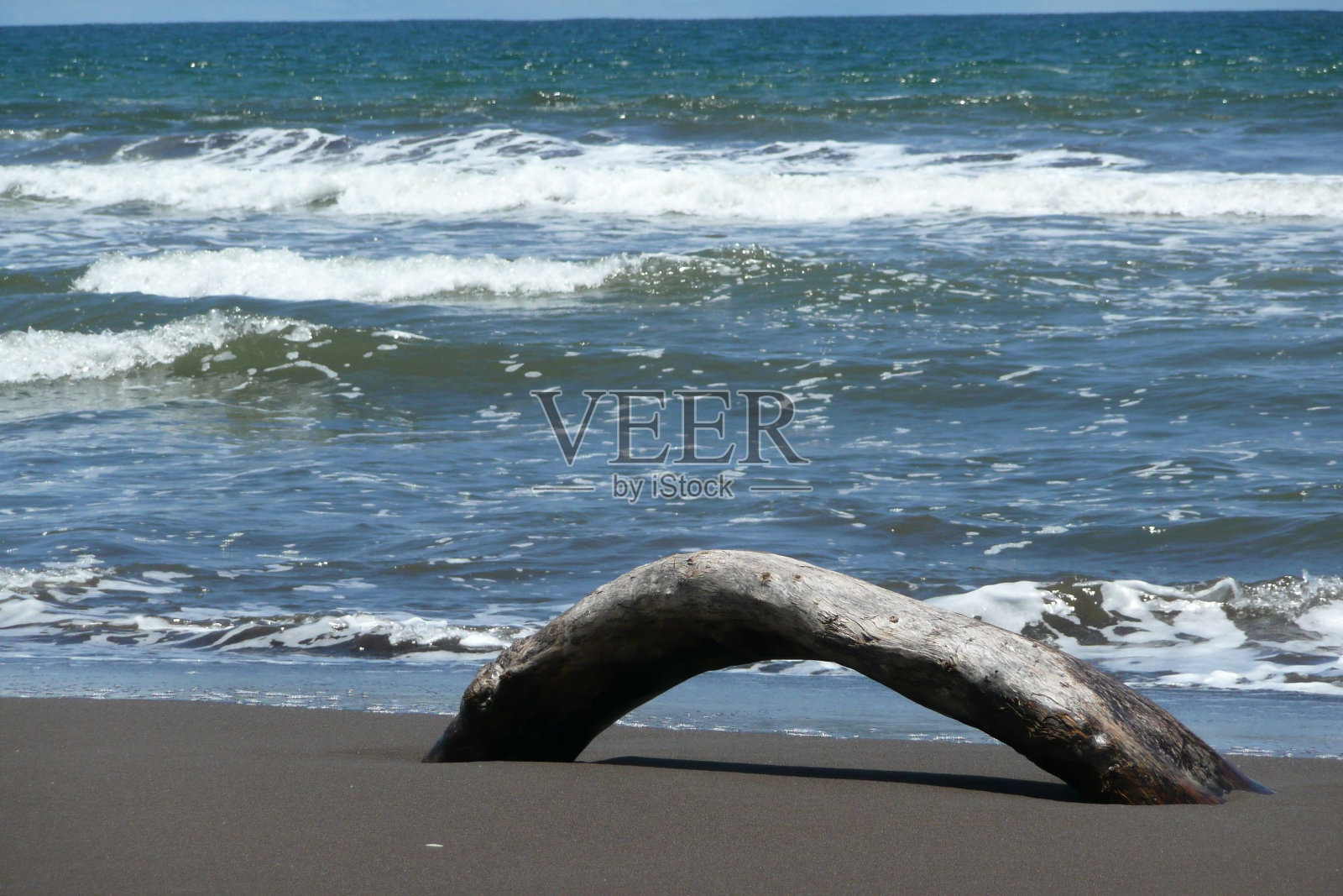 被冲到海边的一大块浮木照片摄影图片