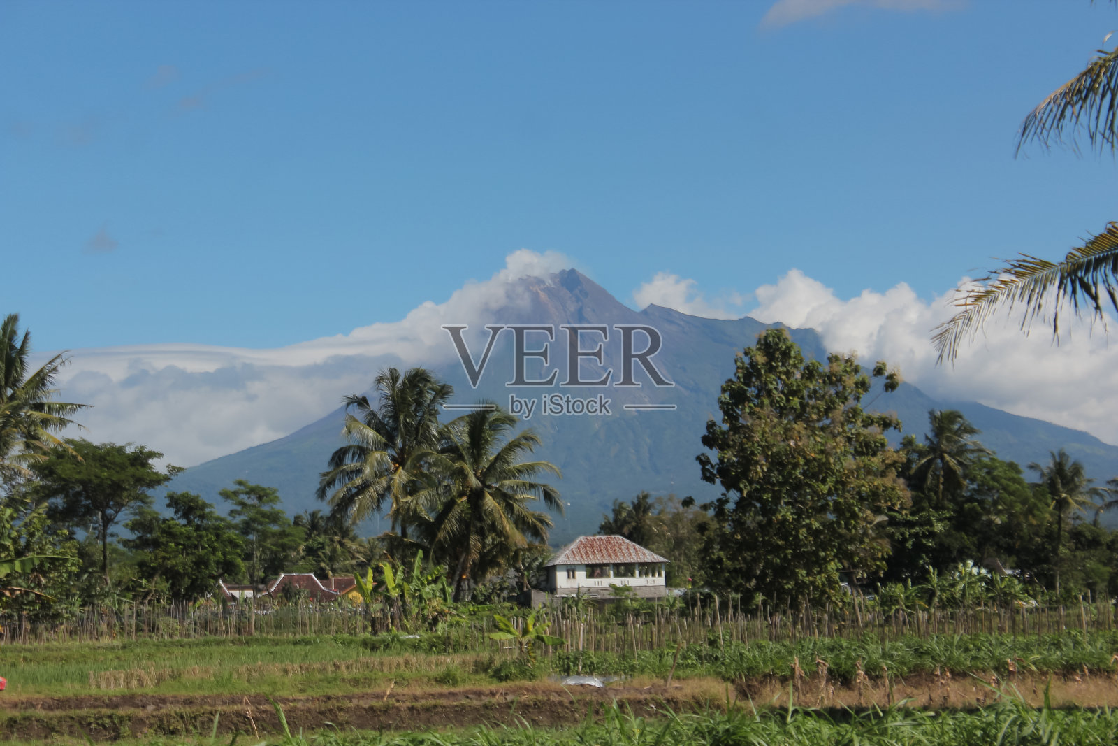 印度尼西亚默拉皮山风景、日惹和稻田的照片照片摄影图片