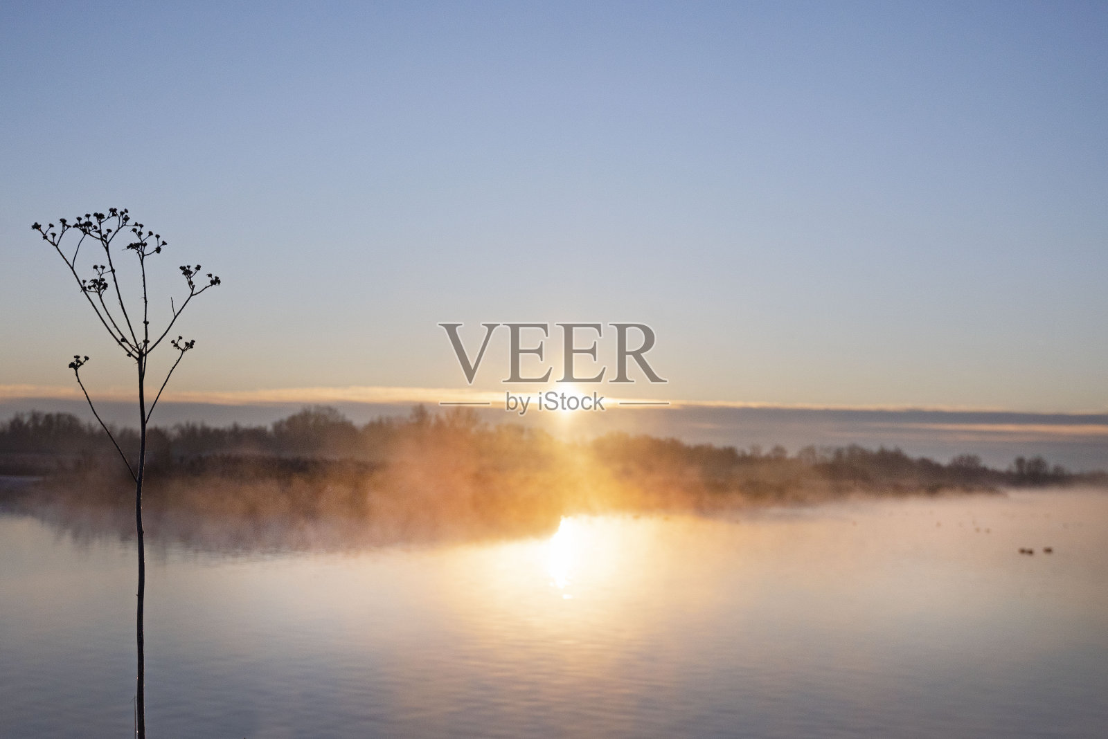 美丽的冬天早晨，荷兰湖上的日出。照片摄影图片