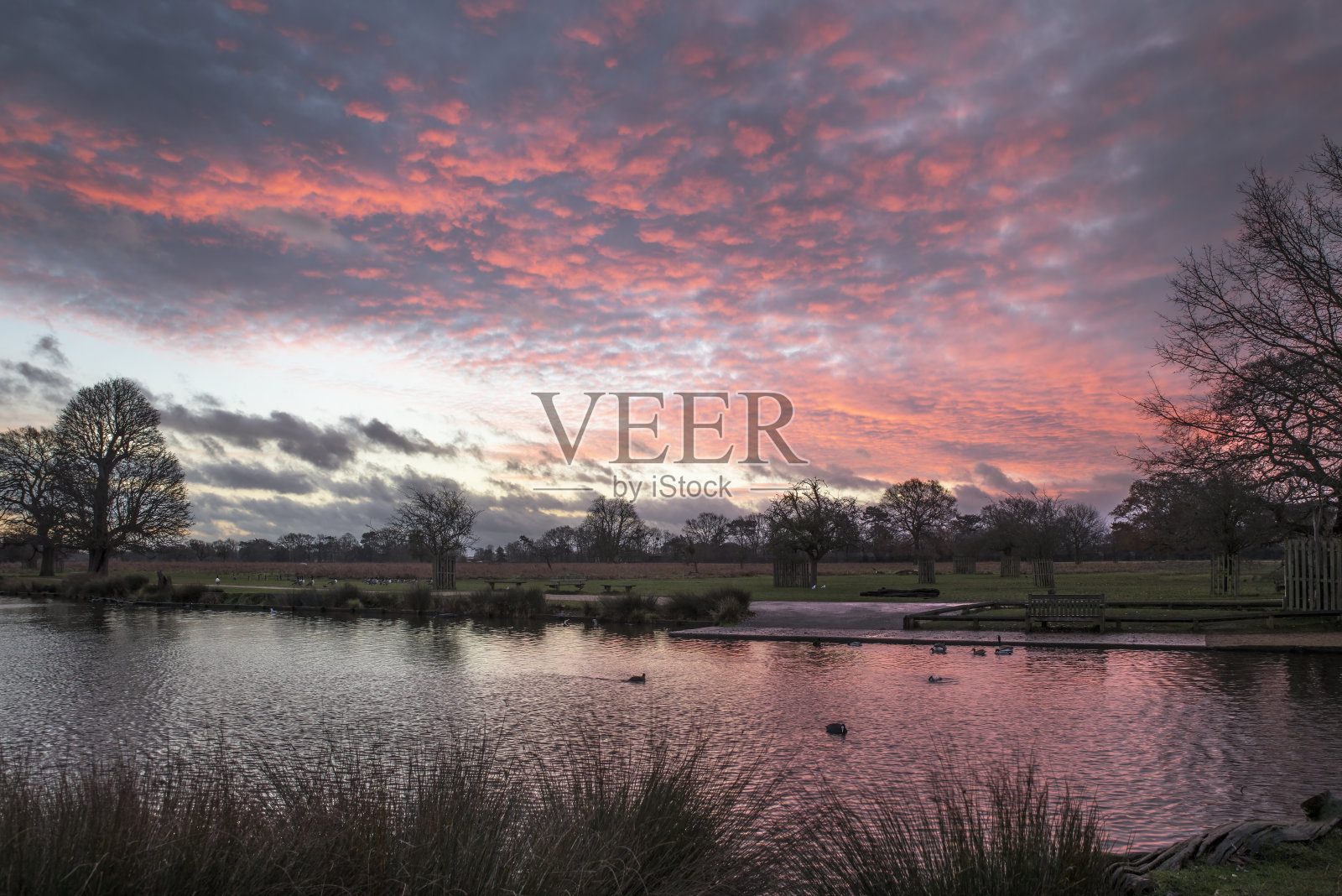 新的黎明照片摄影图片