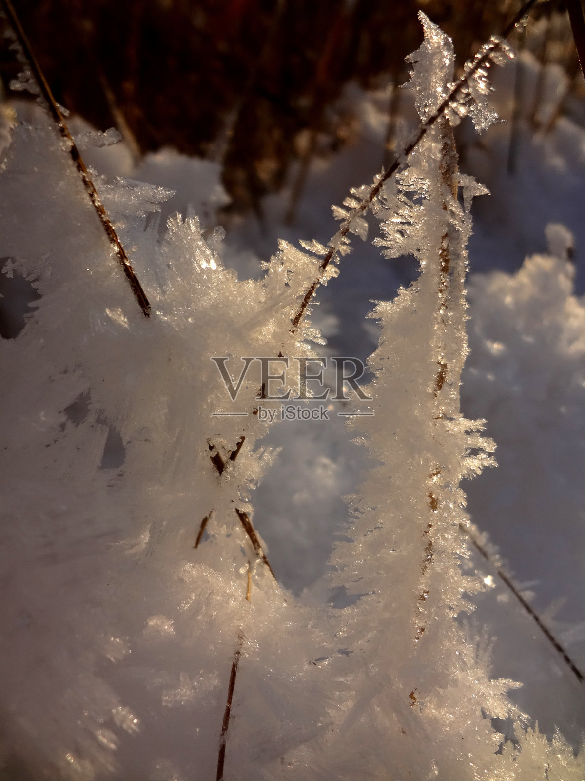 霜模式照片摄影图片
